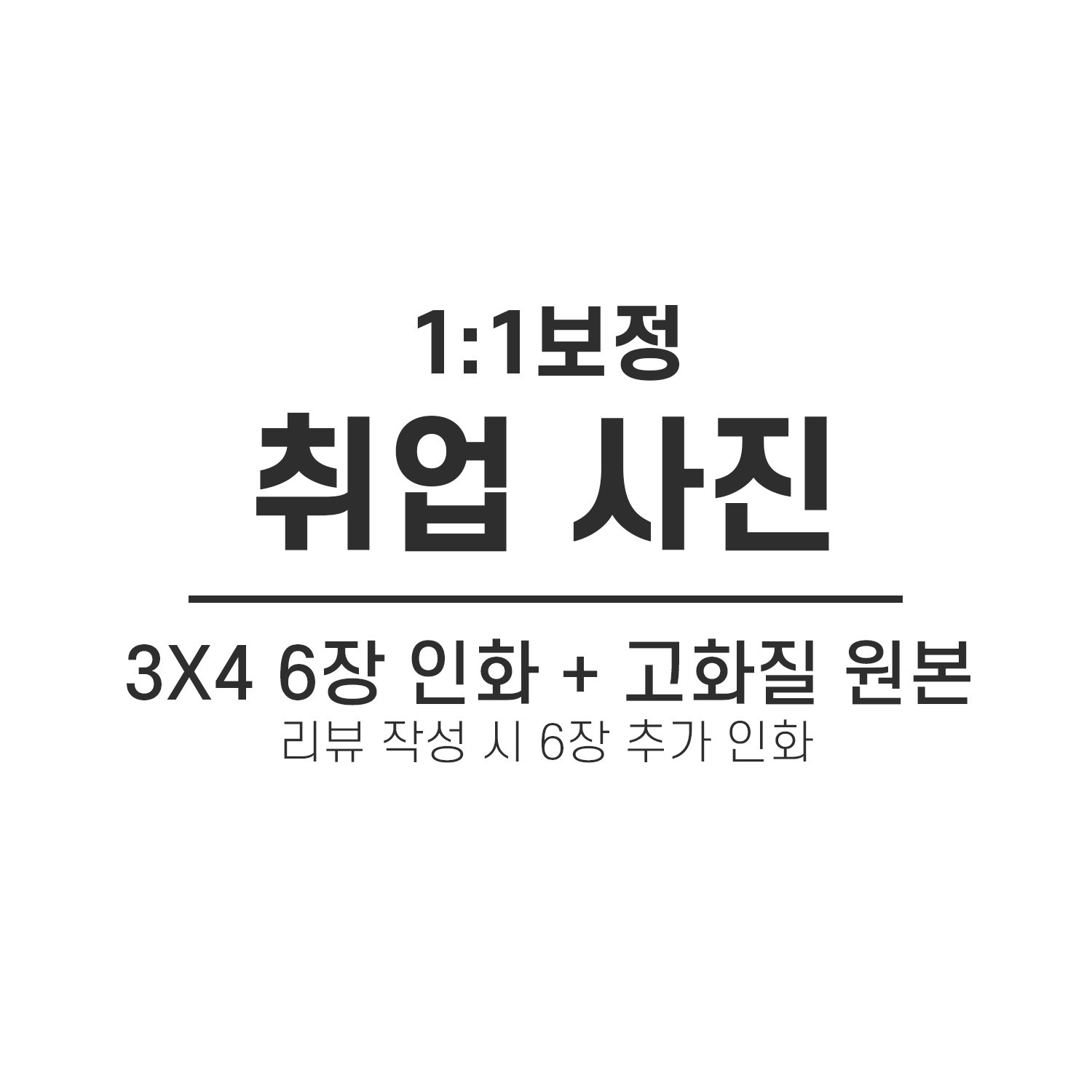 도그시티 8