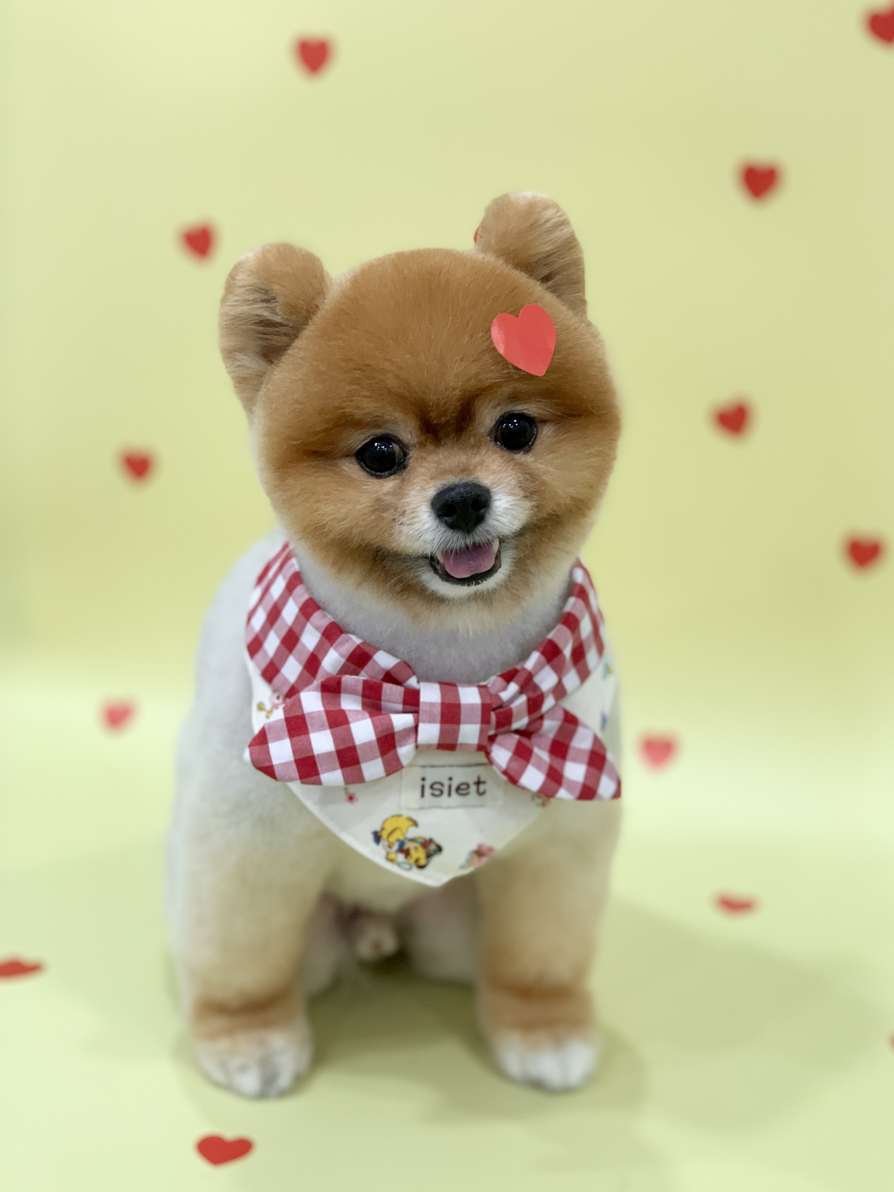 다온그루밍 대표 이미지