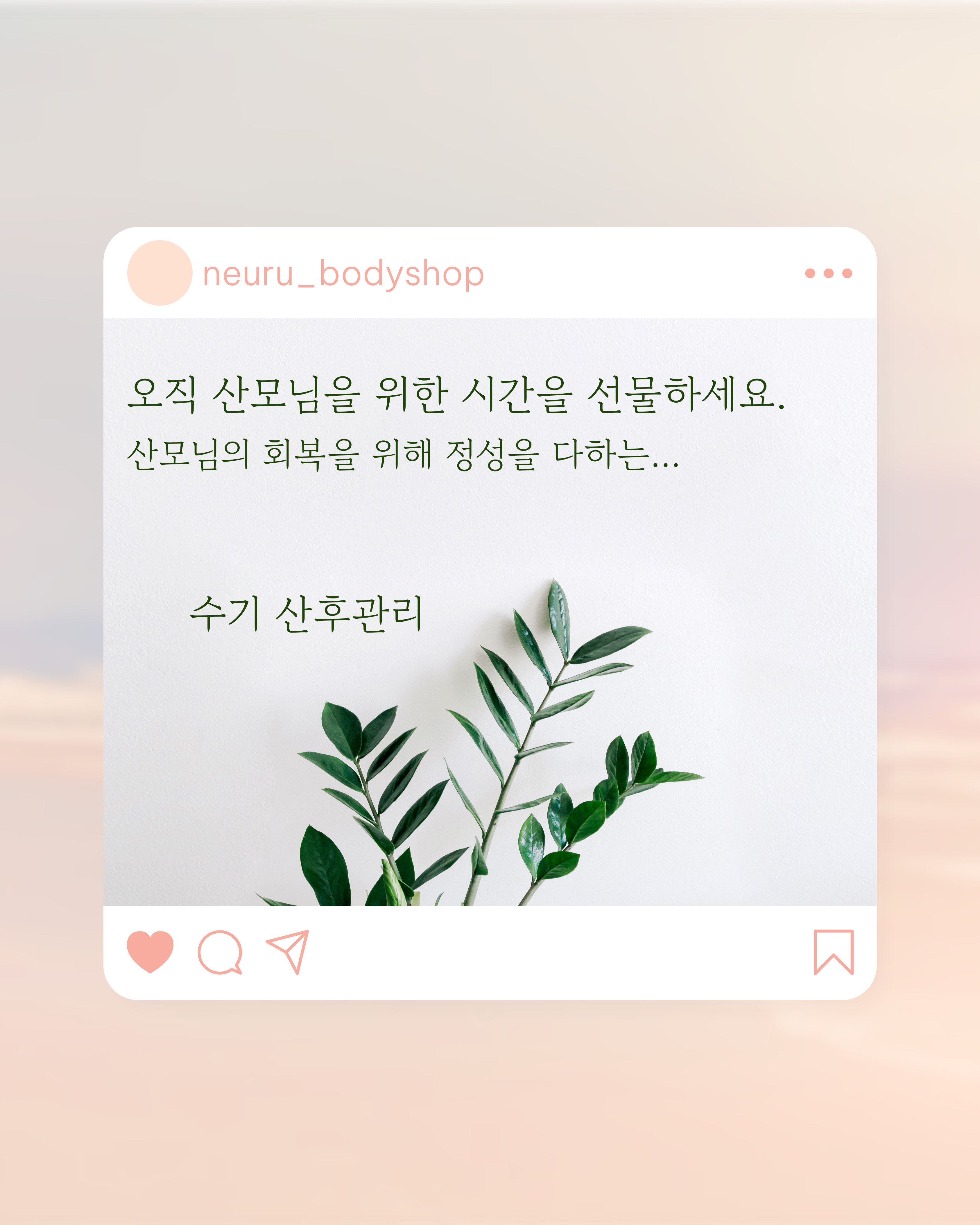 느루 photo 4