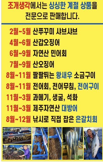 조개생각