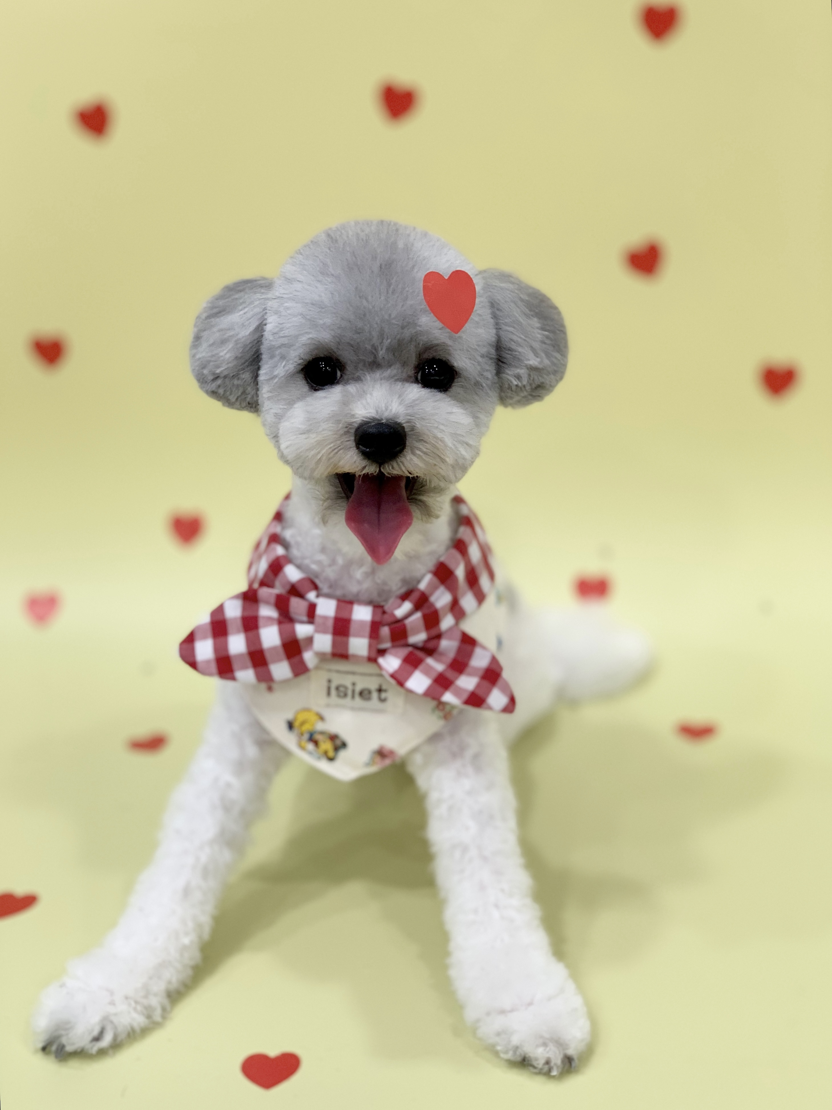 다온그루밍 대표 이미지