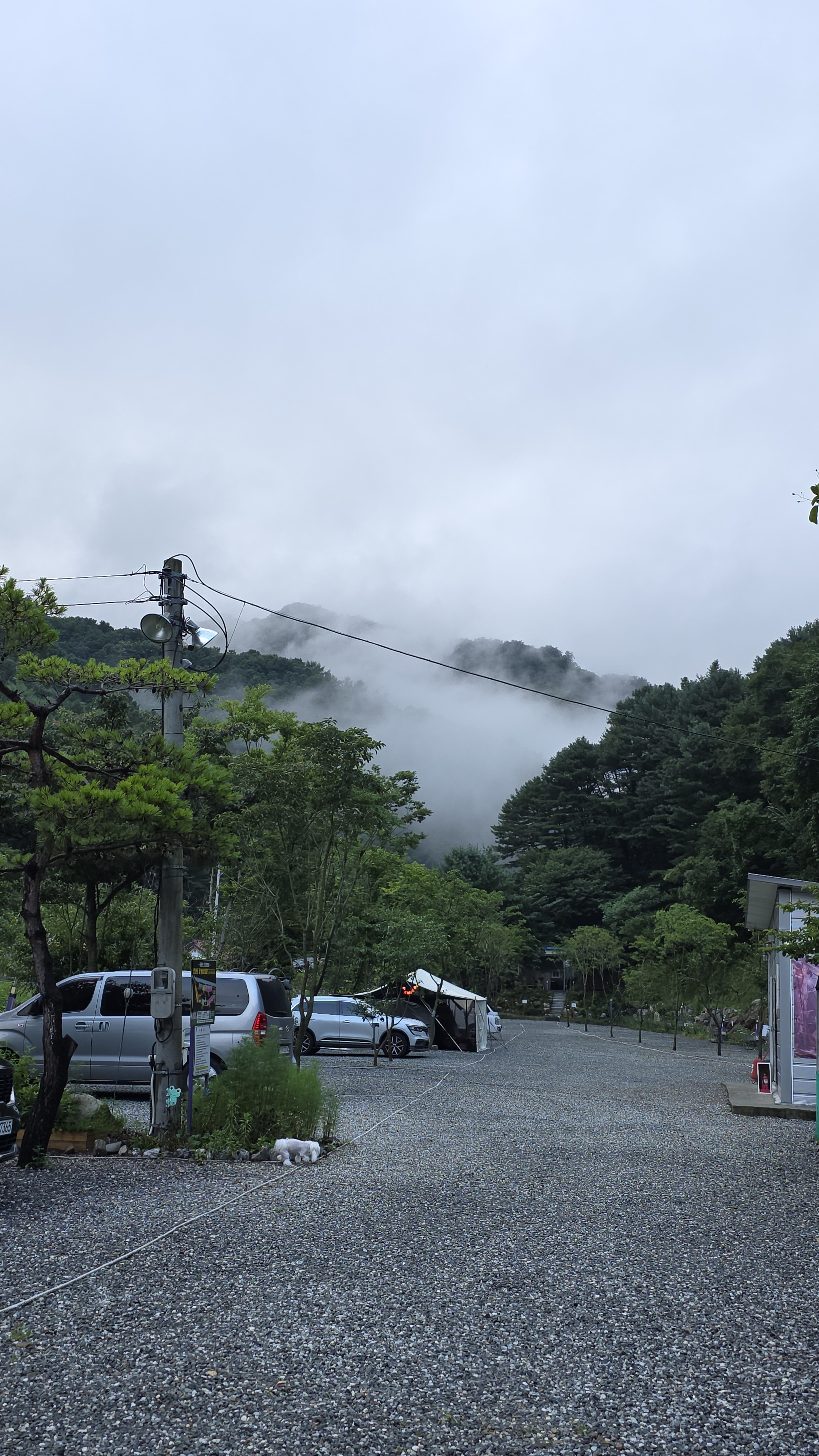 캠핑장 사진