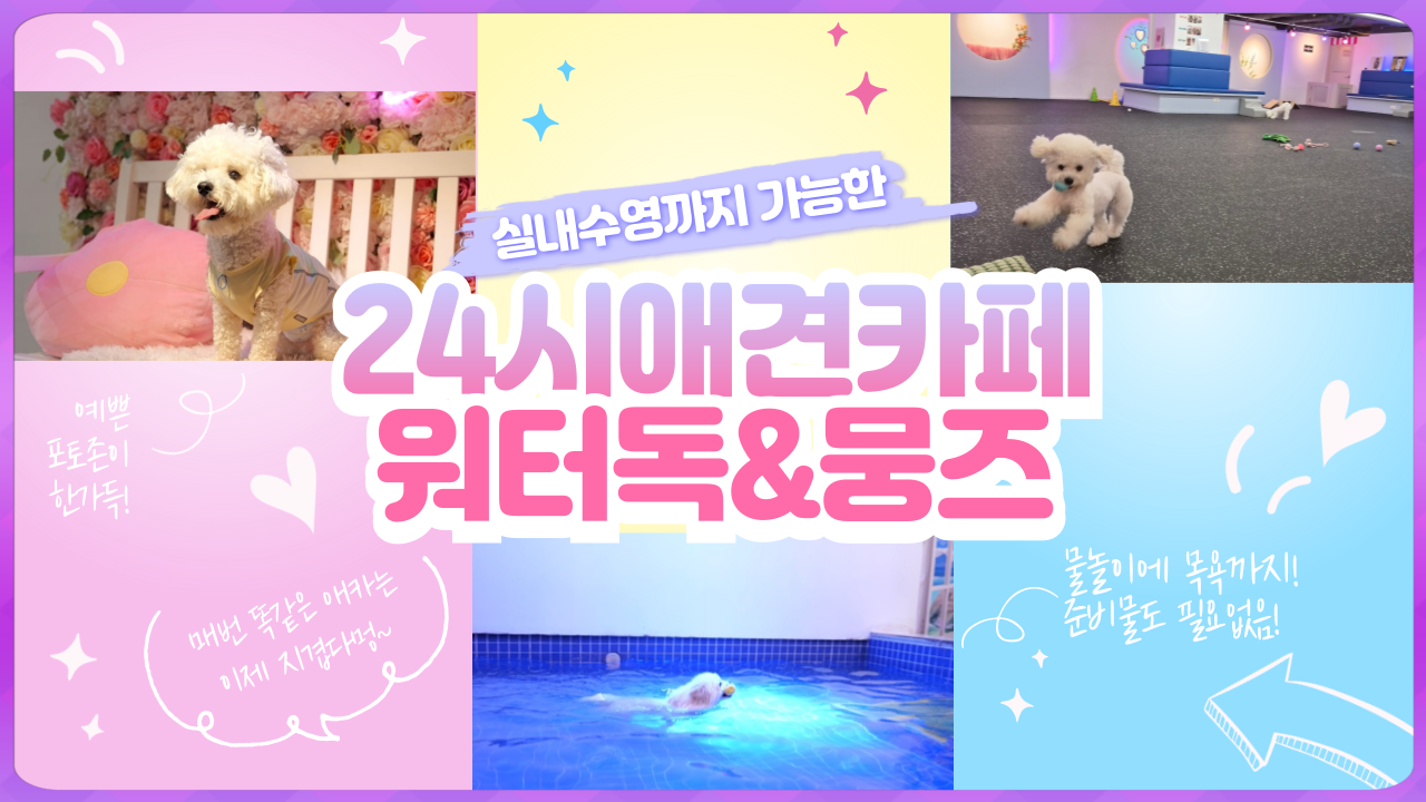 워터독 부천역점 대표 이미지