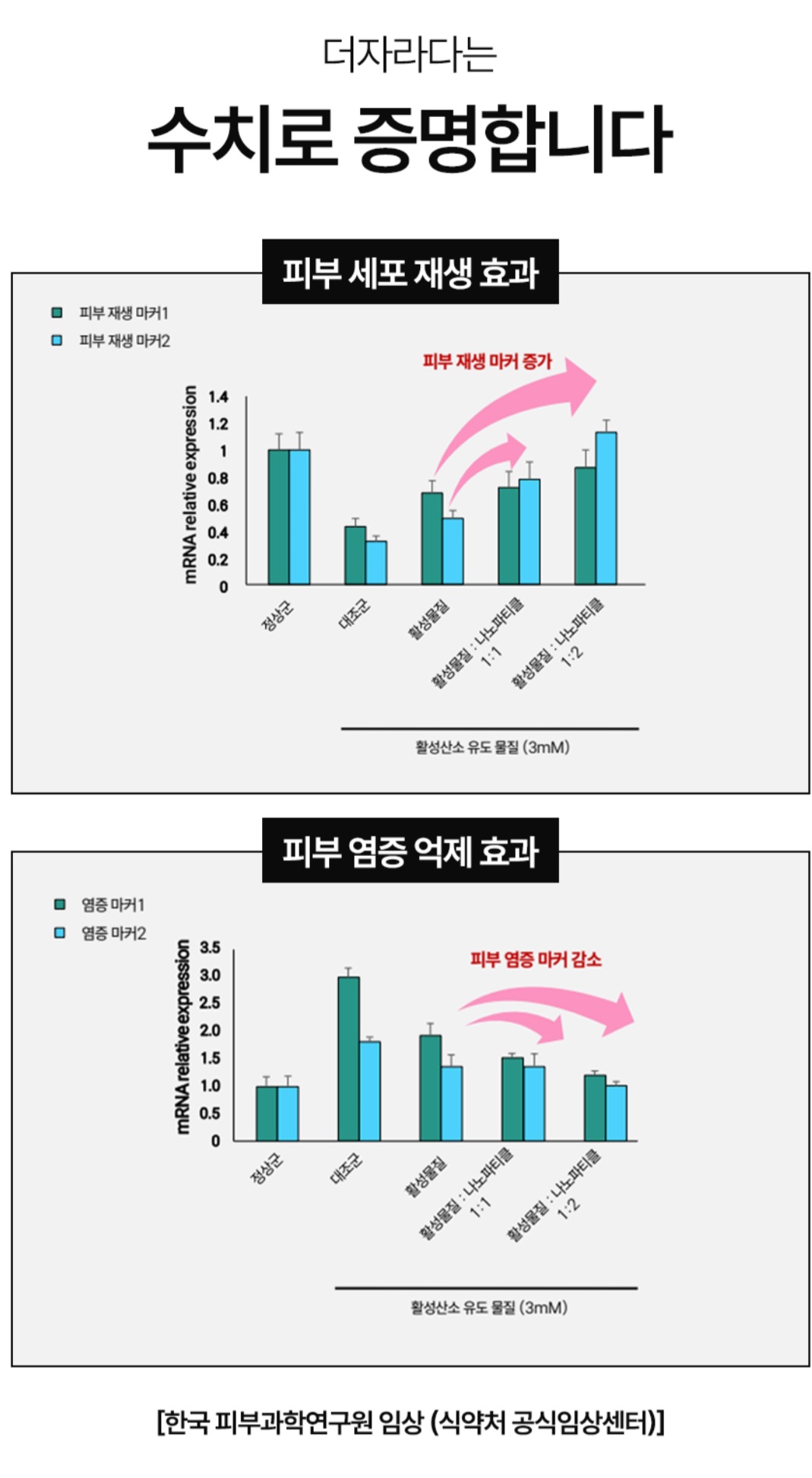 더자라다 대표 이미지