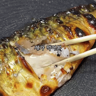 금등어달서구