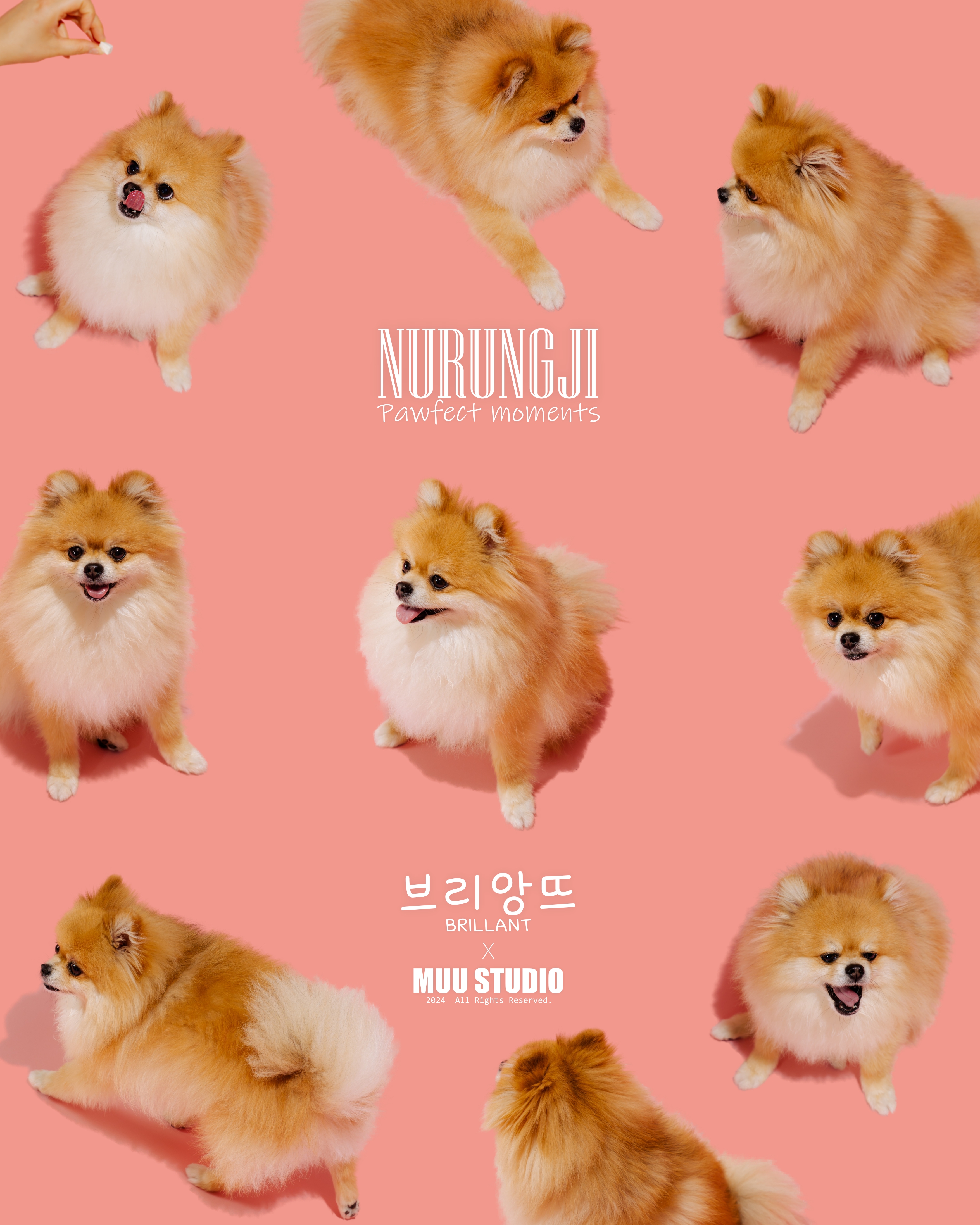 하남숯불닭갈비 3