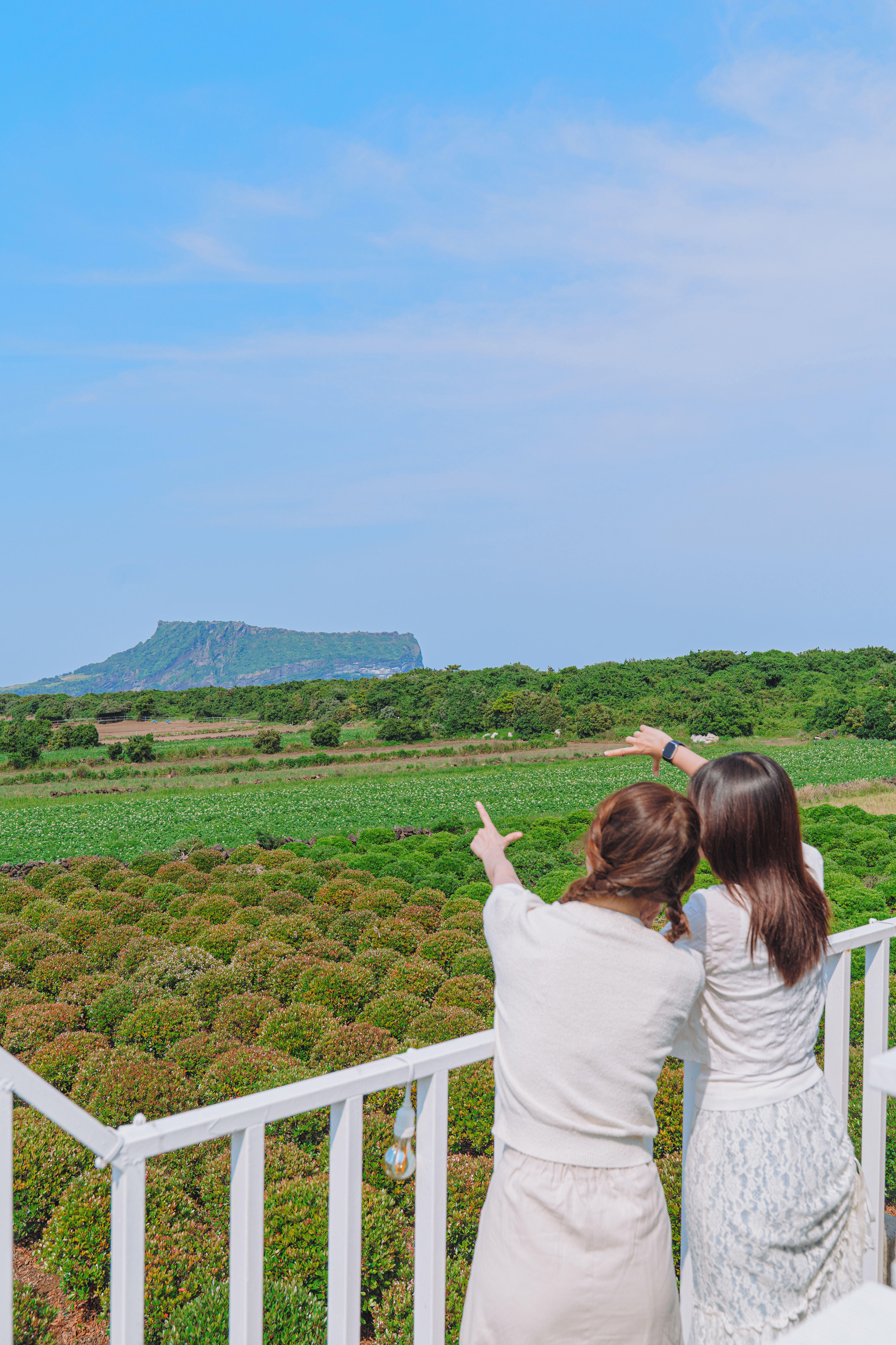 드르쿰다 제주 성산점 5