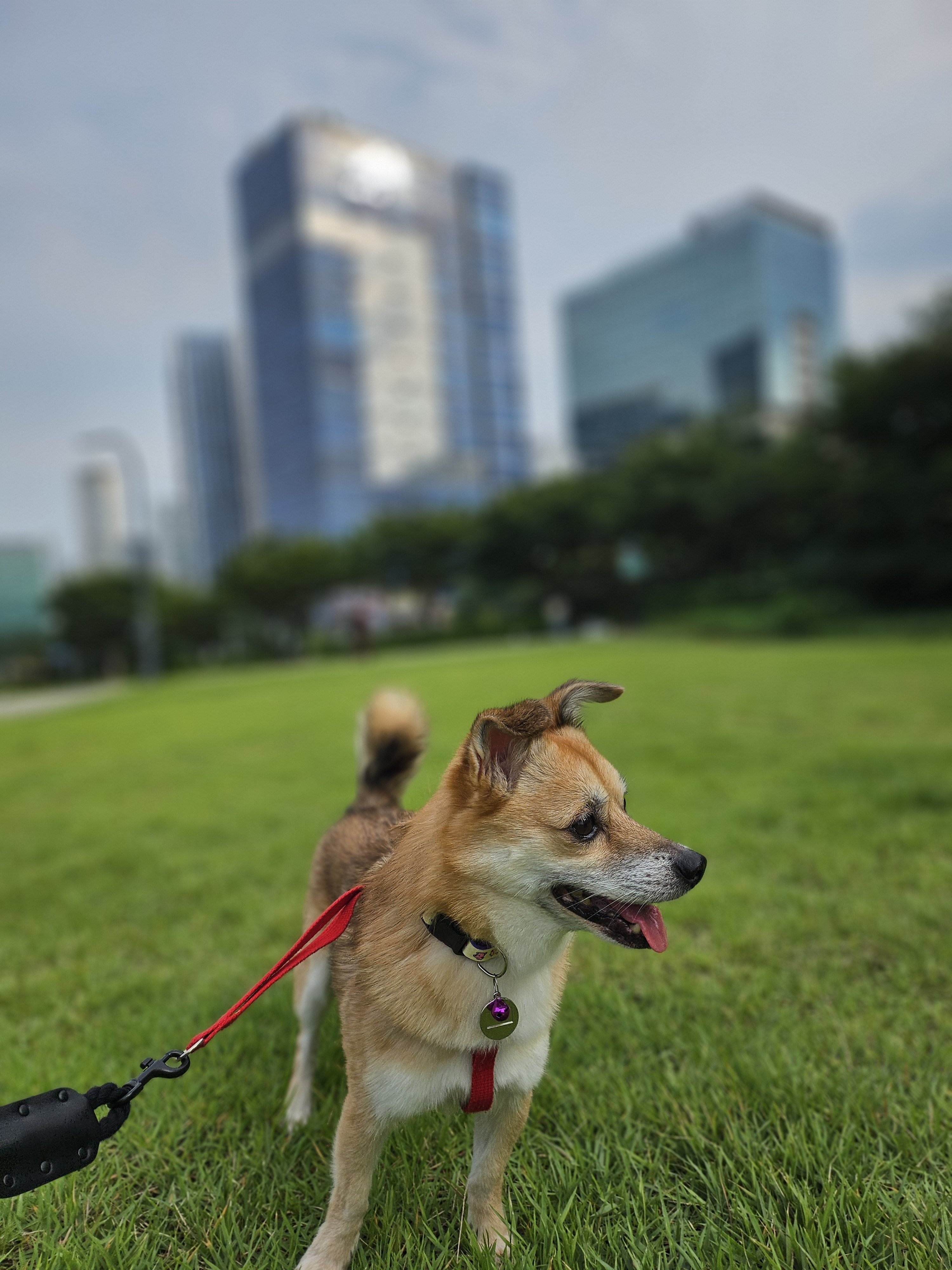 사진 4