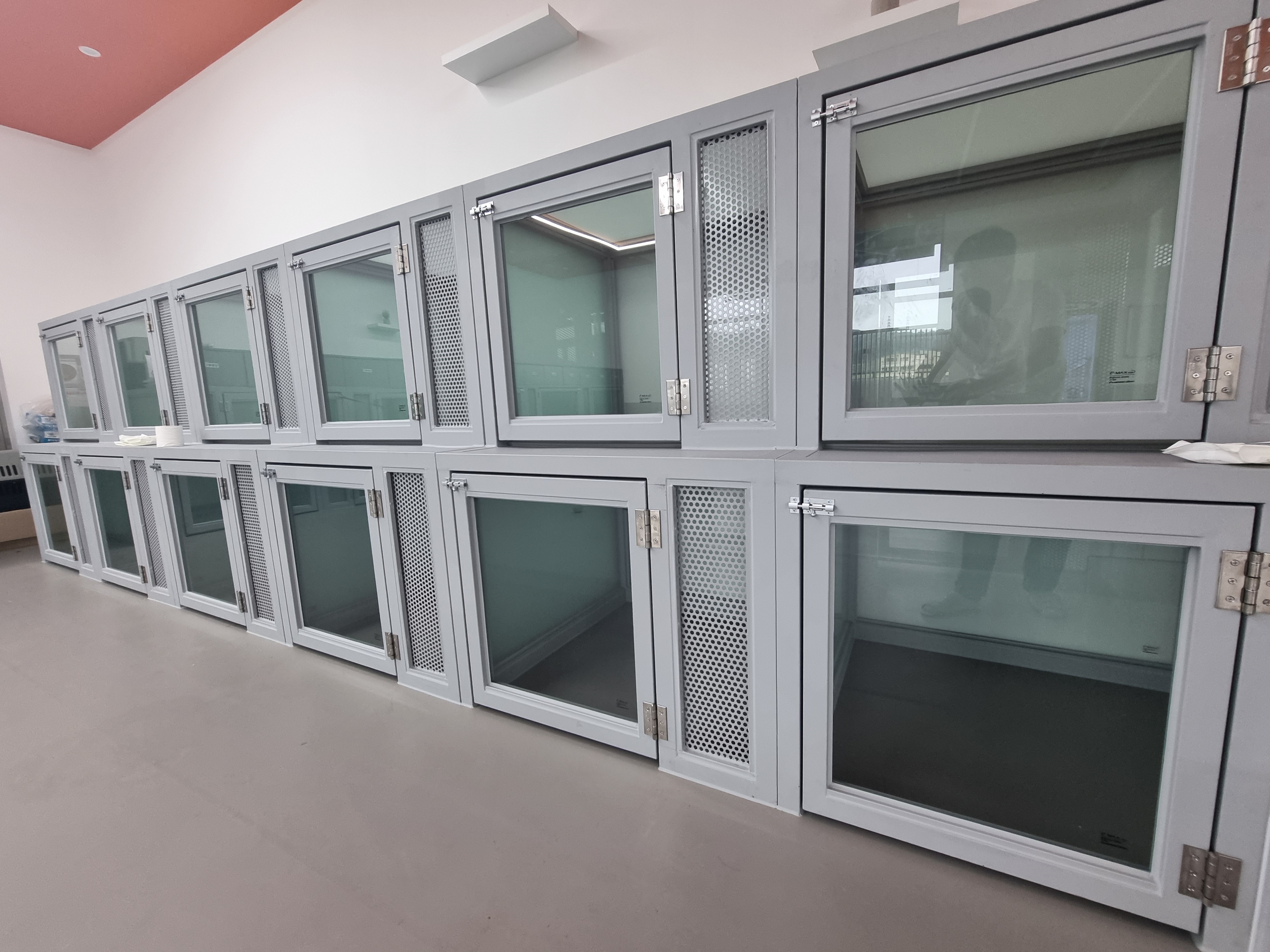 신나는댕댕이 대표 이미지