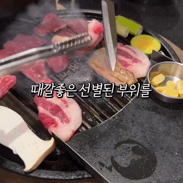 육화미 두정점 대표 이미지