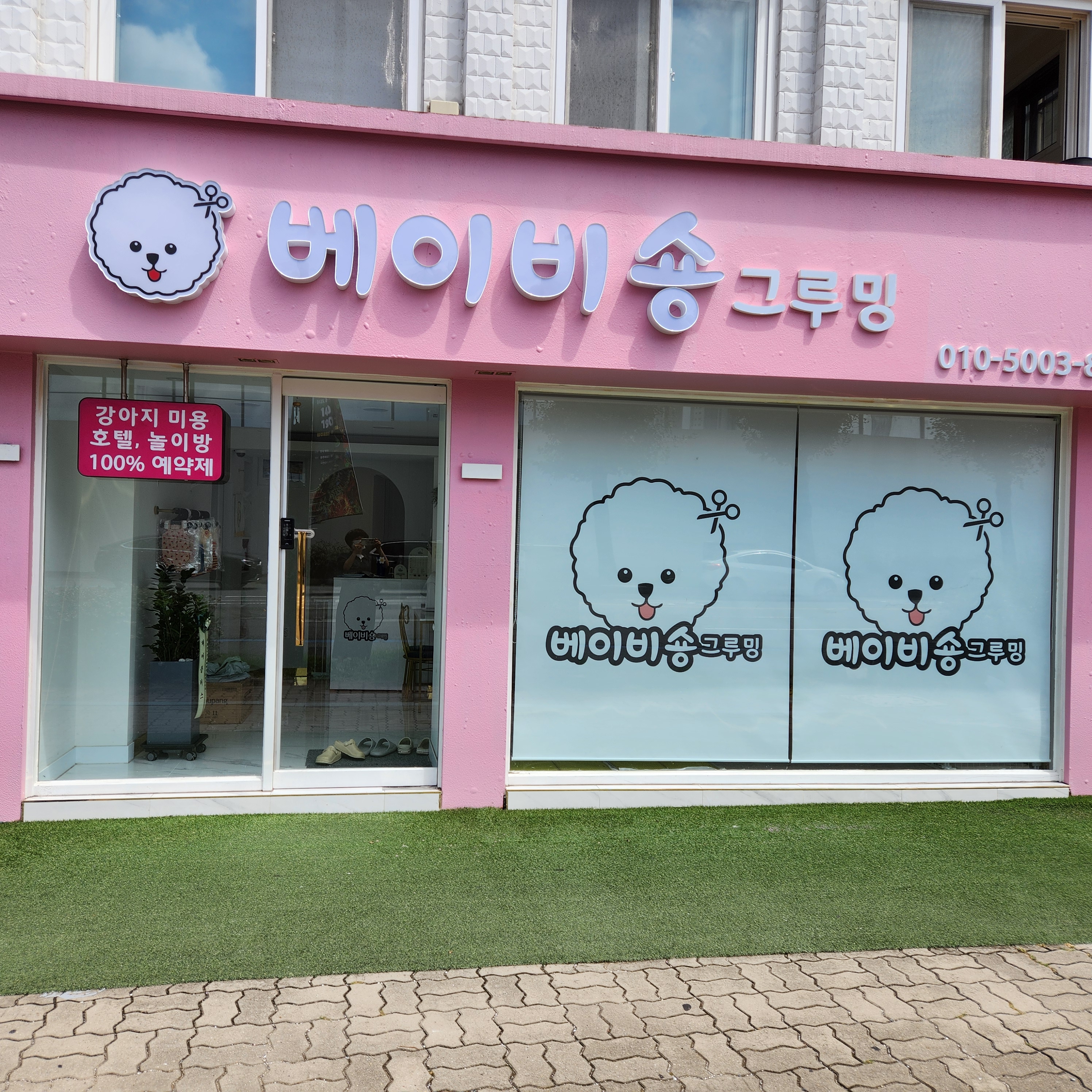 베이비숑 그루밍 대표 이미지