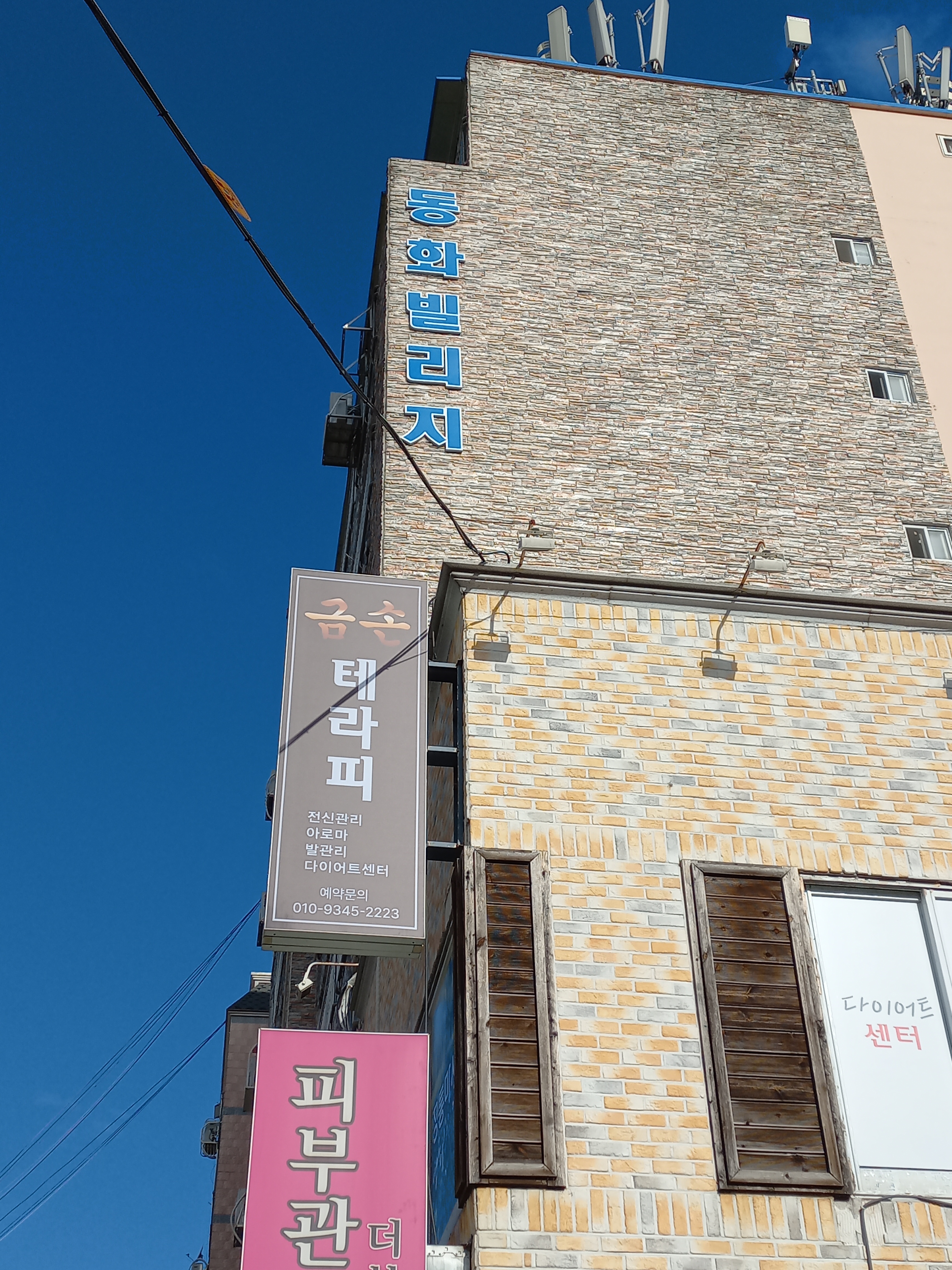 금손 photo 10