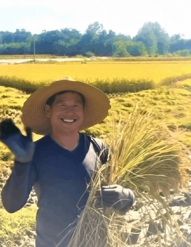 나들목 여주쌀밥