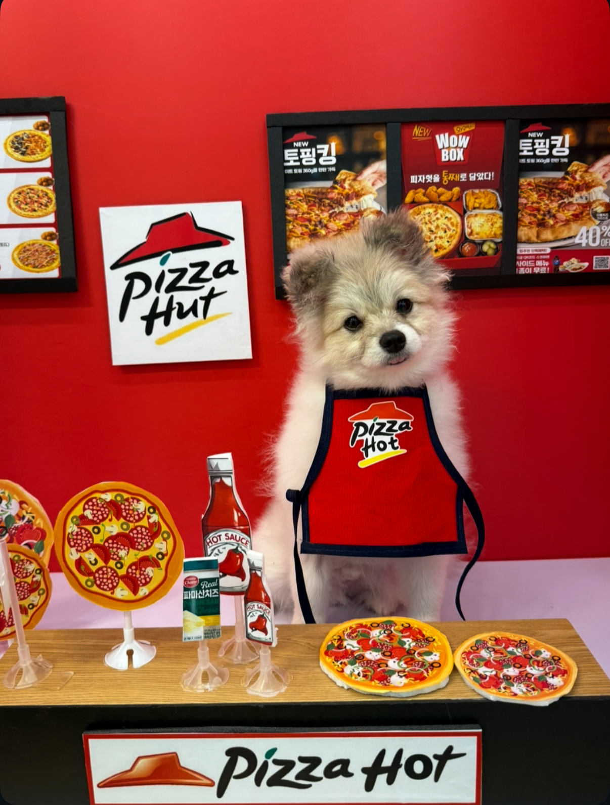 퍼피해피 소형견카페 대표 이미지