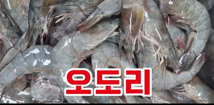 조개구이마트