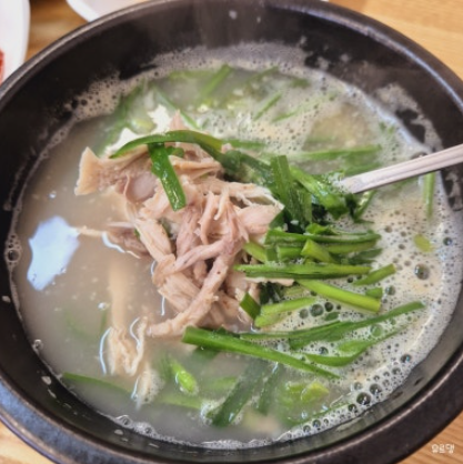 편백나무밑에서노는닭