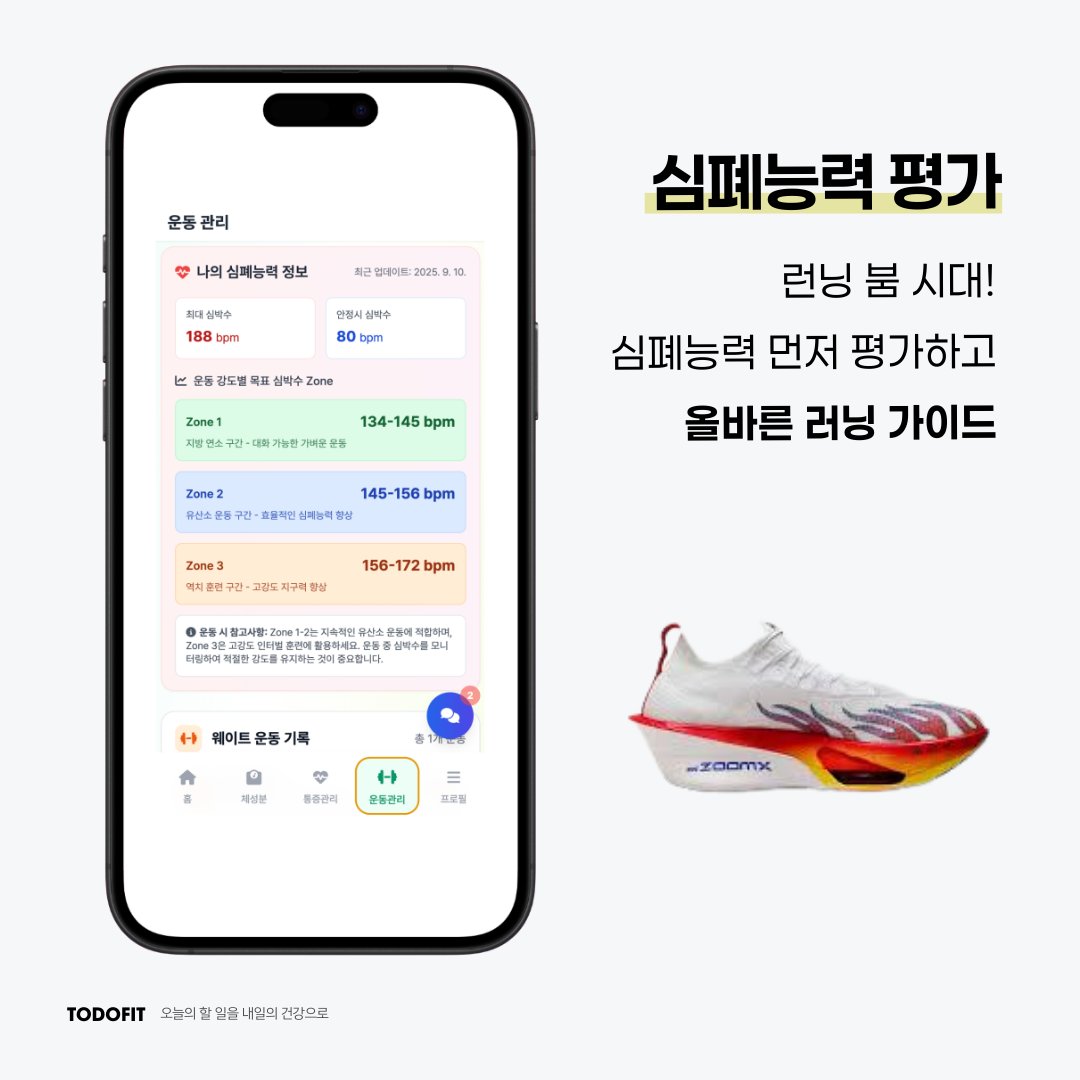 투두핏 대표 이미지