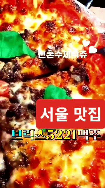 브릭스5221