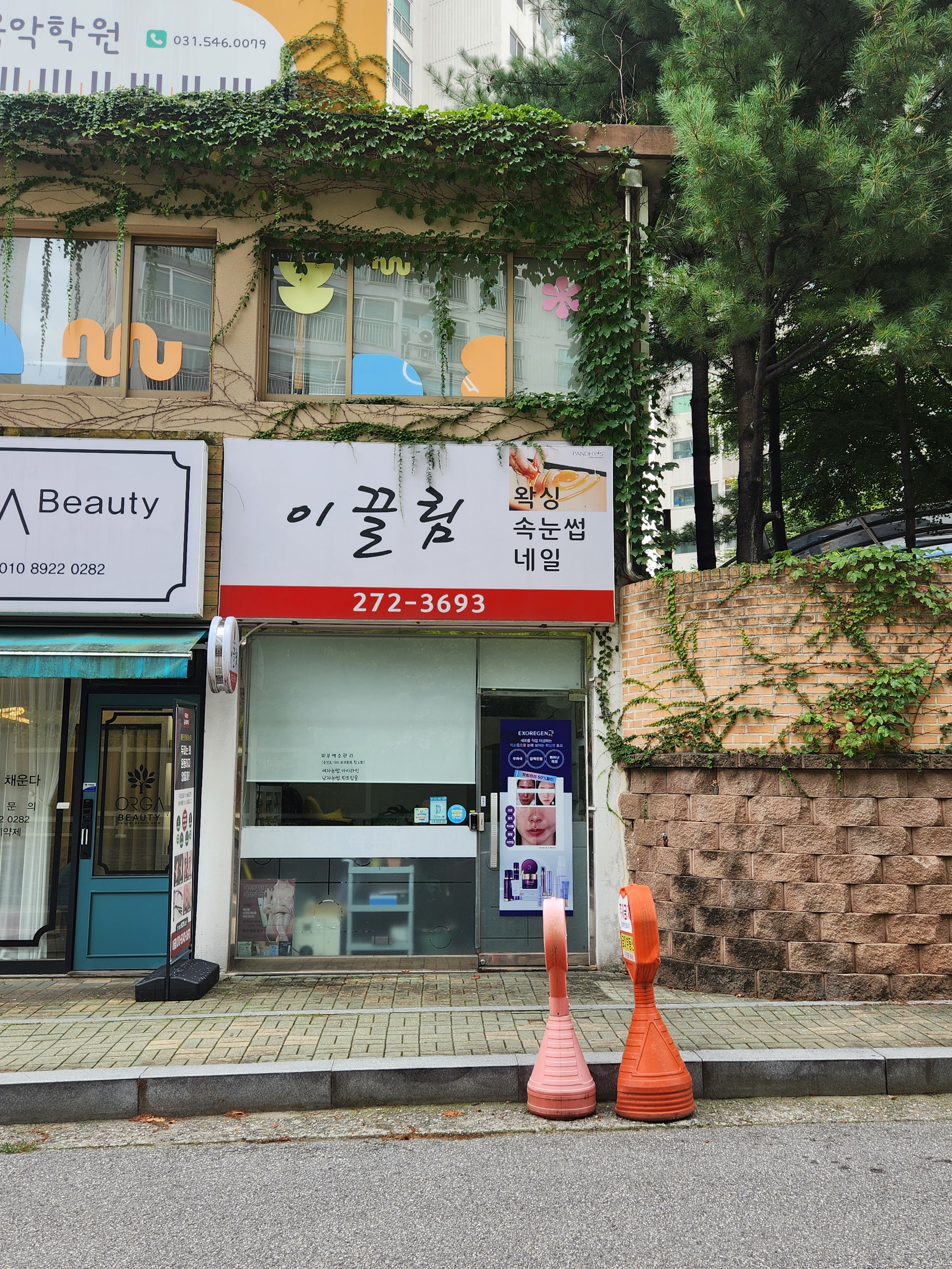 이끌림 대표 이미지