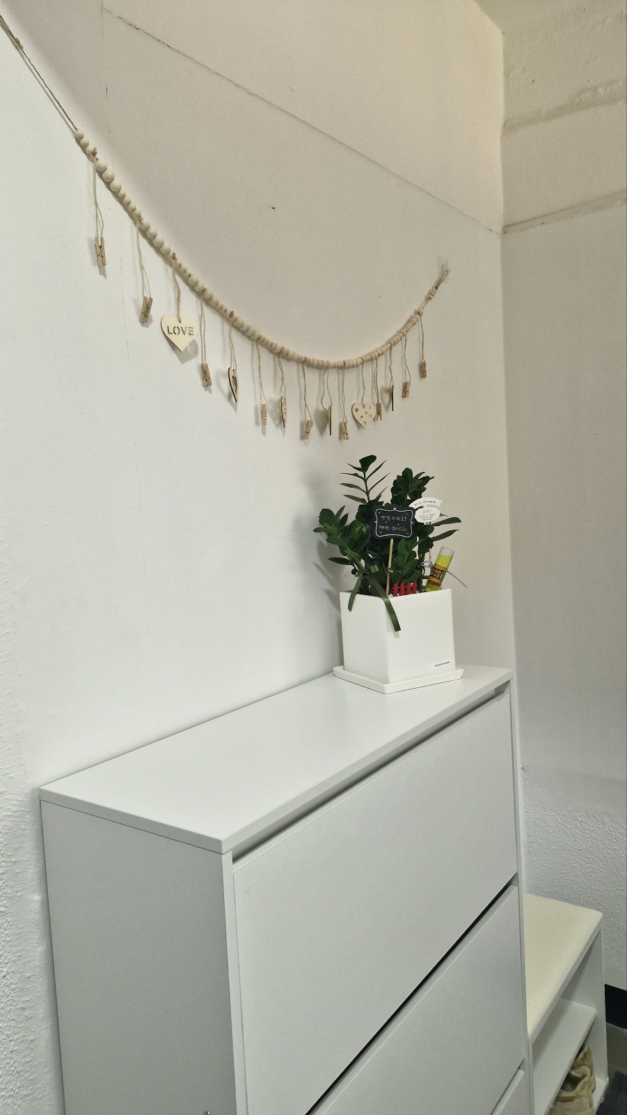 4번째 스튜디오 사진