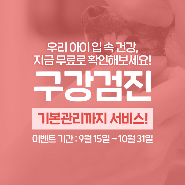 모모동물의료센터 대표 이미지