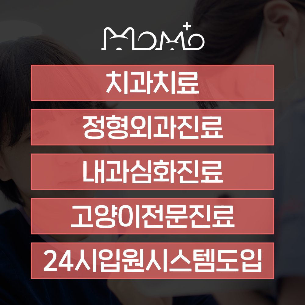 모모동물의료센터 대표 이미지