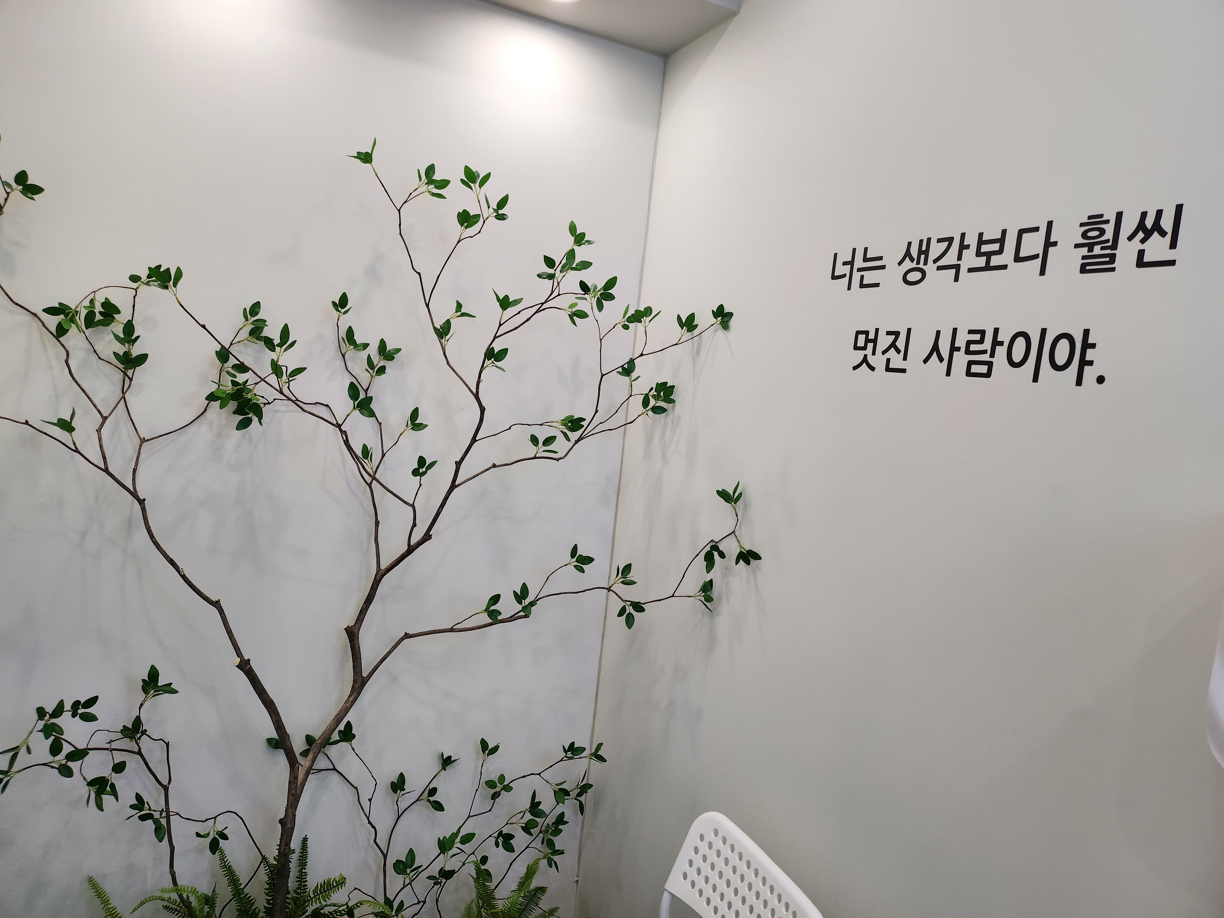 업체사진