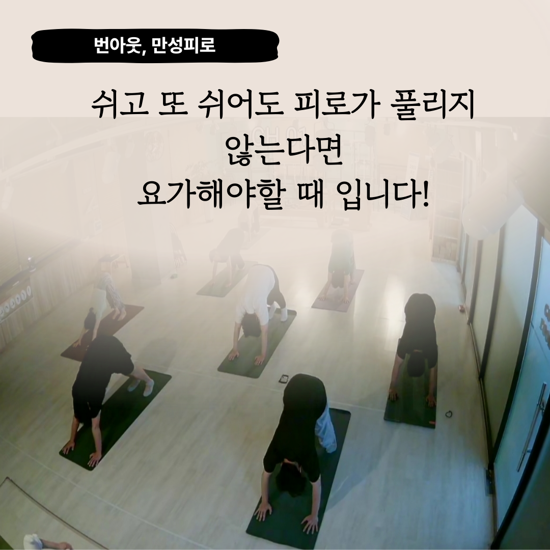 이지요가앤필라테스 대표 이미지