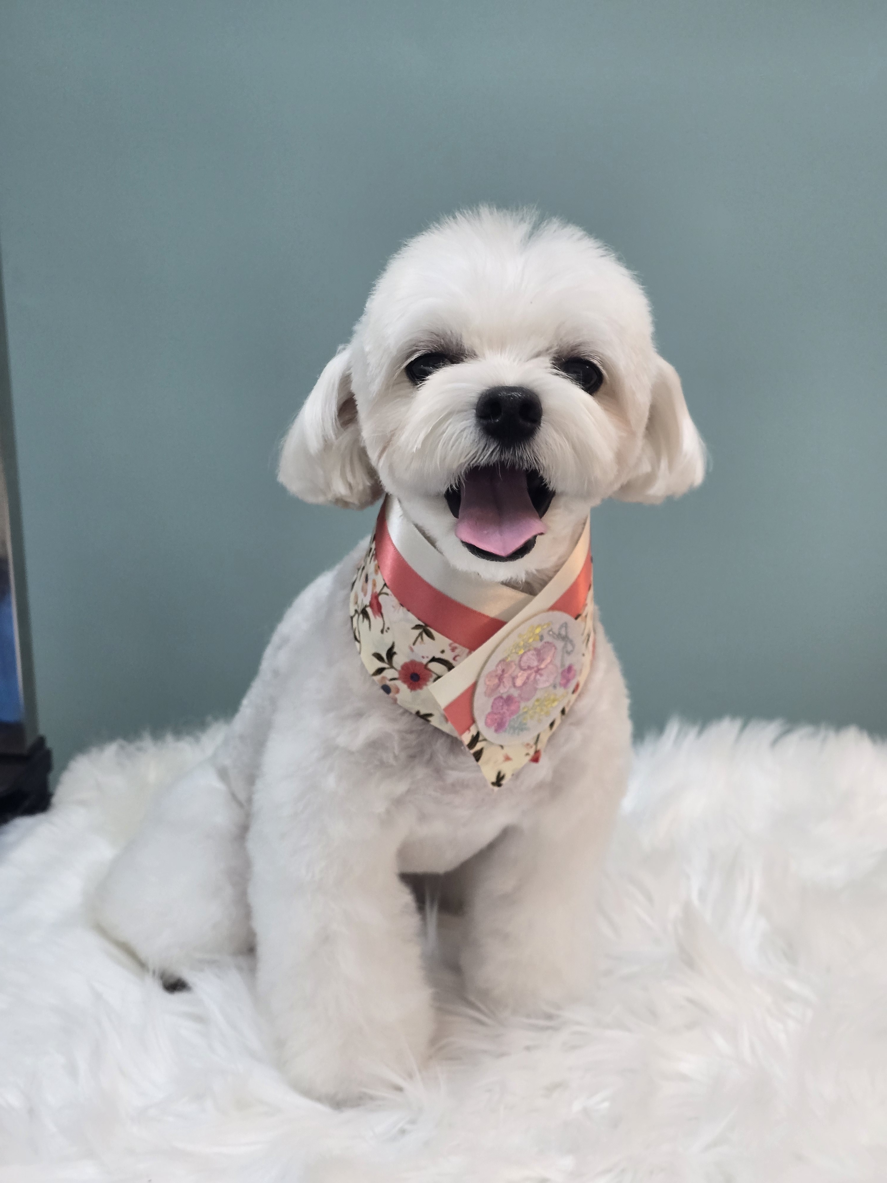 욜랑욜랑 대표 이미지