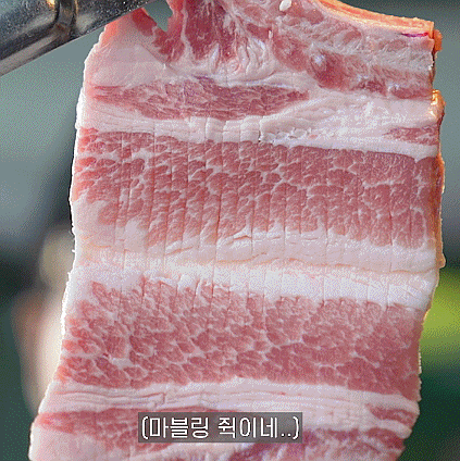 녹돼야지