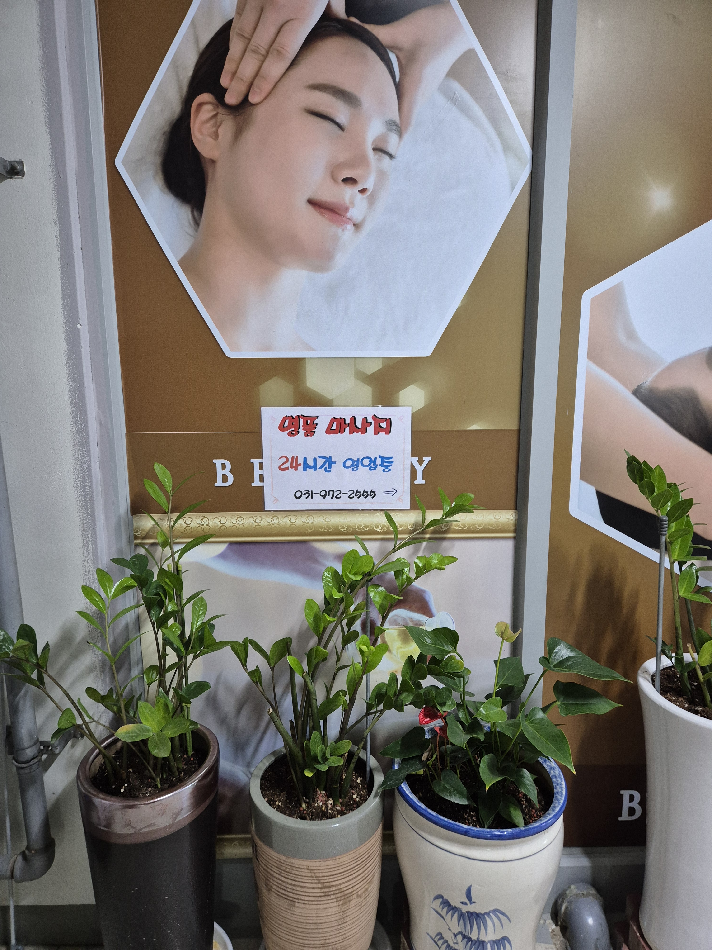 명품 photo 5
