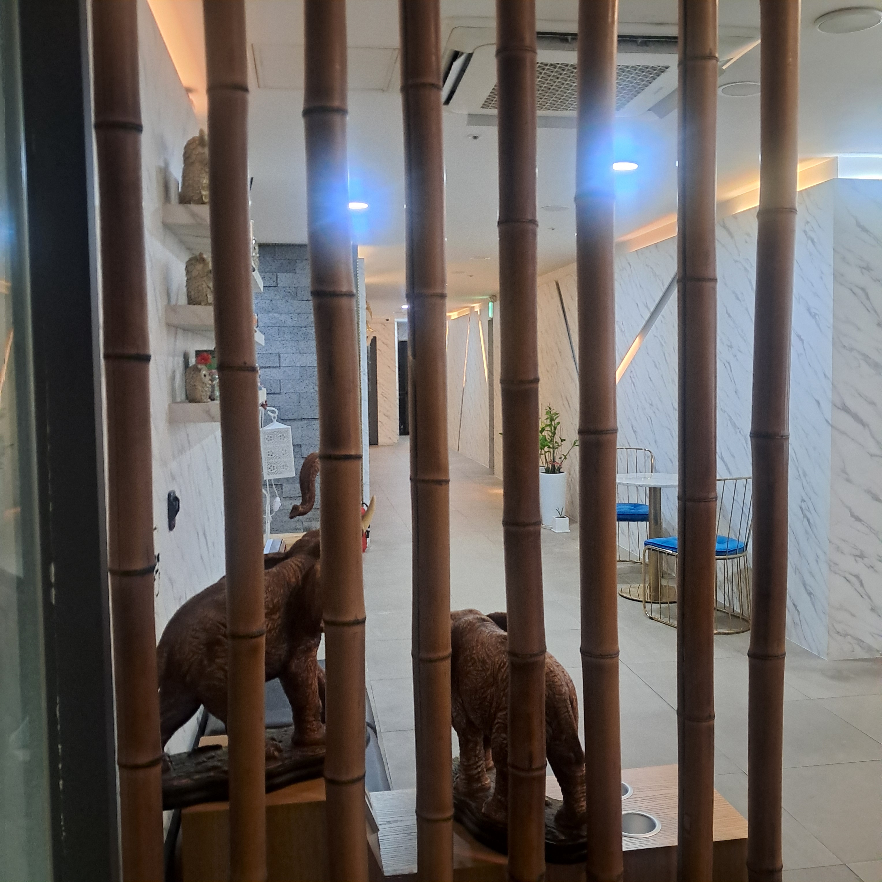 봄테라피 강남점 photo 6