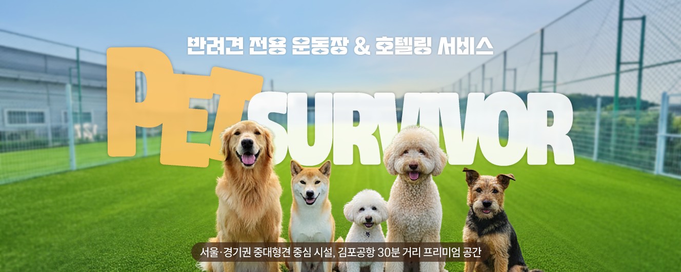 펫서바이버 반려동물 동반 애견카페