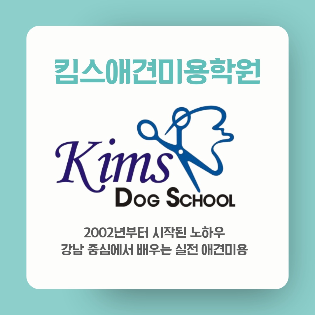 킴스애견미용학원 대표 이미지