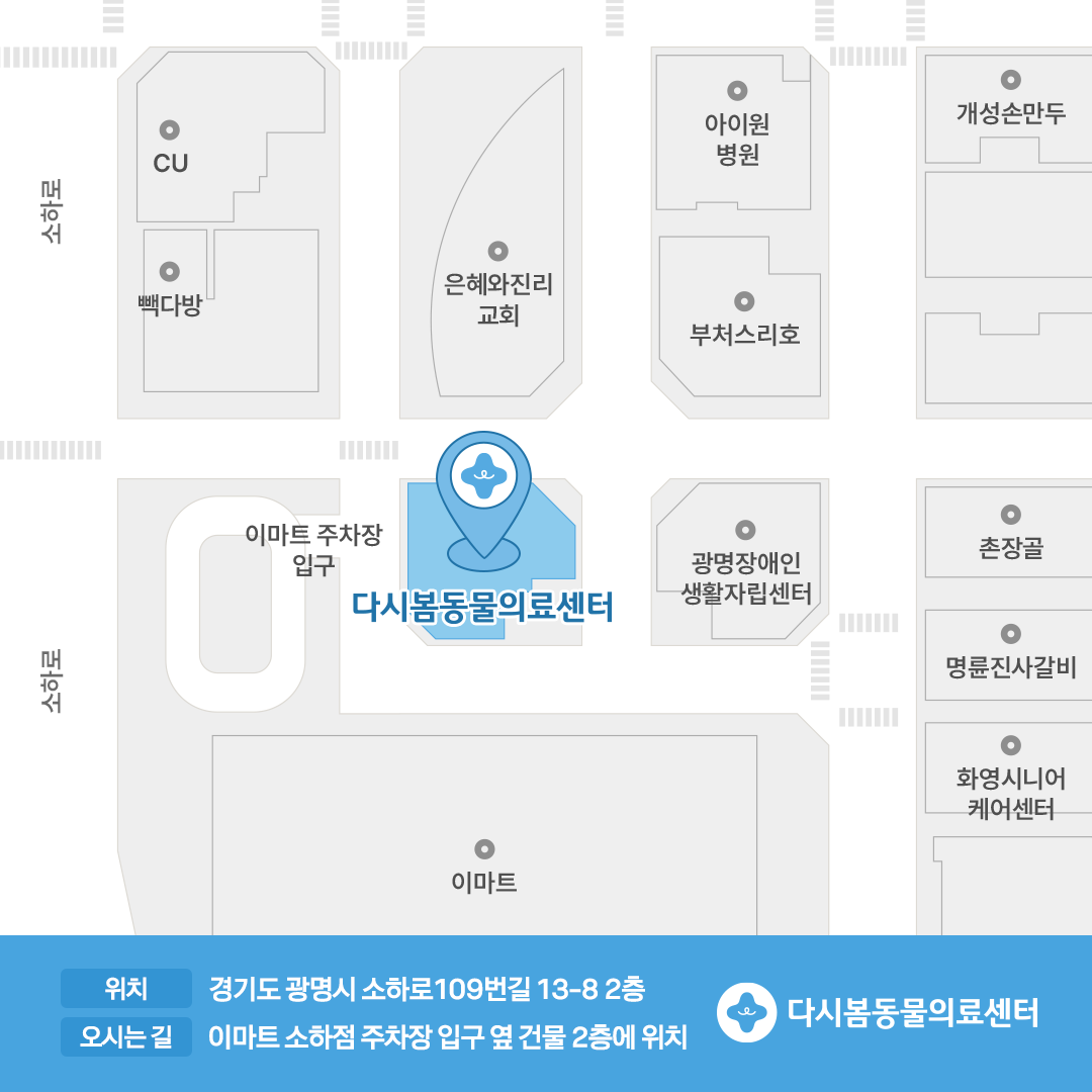 다시봄동물의료센터 대표 이미지