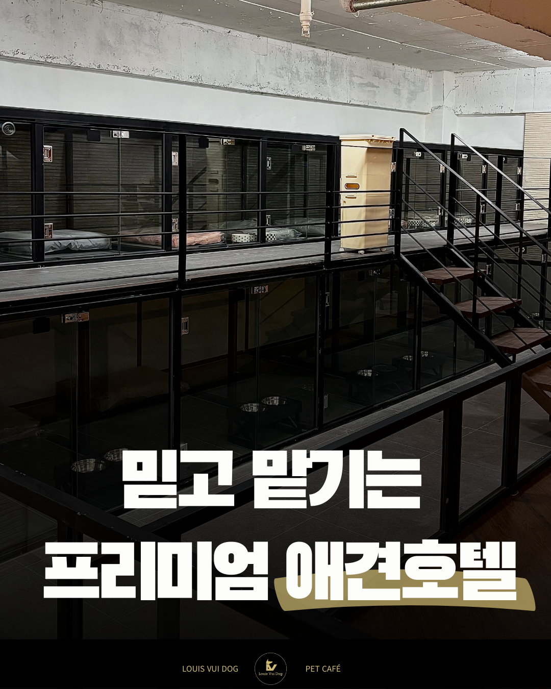 루이비독 대표 이미지