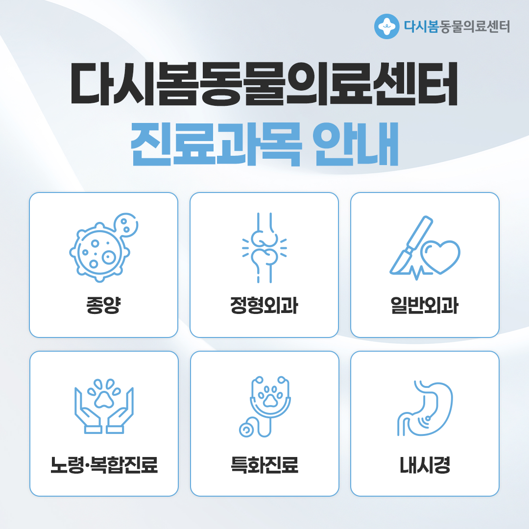 다시봄동물의료센터 대표 이미지