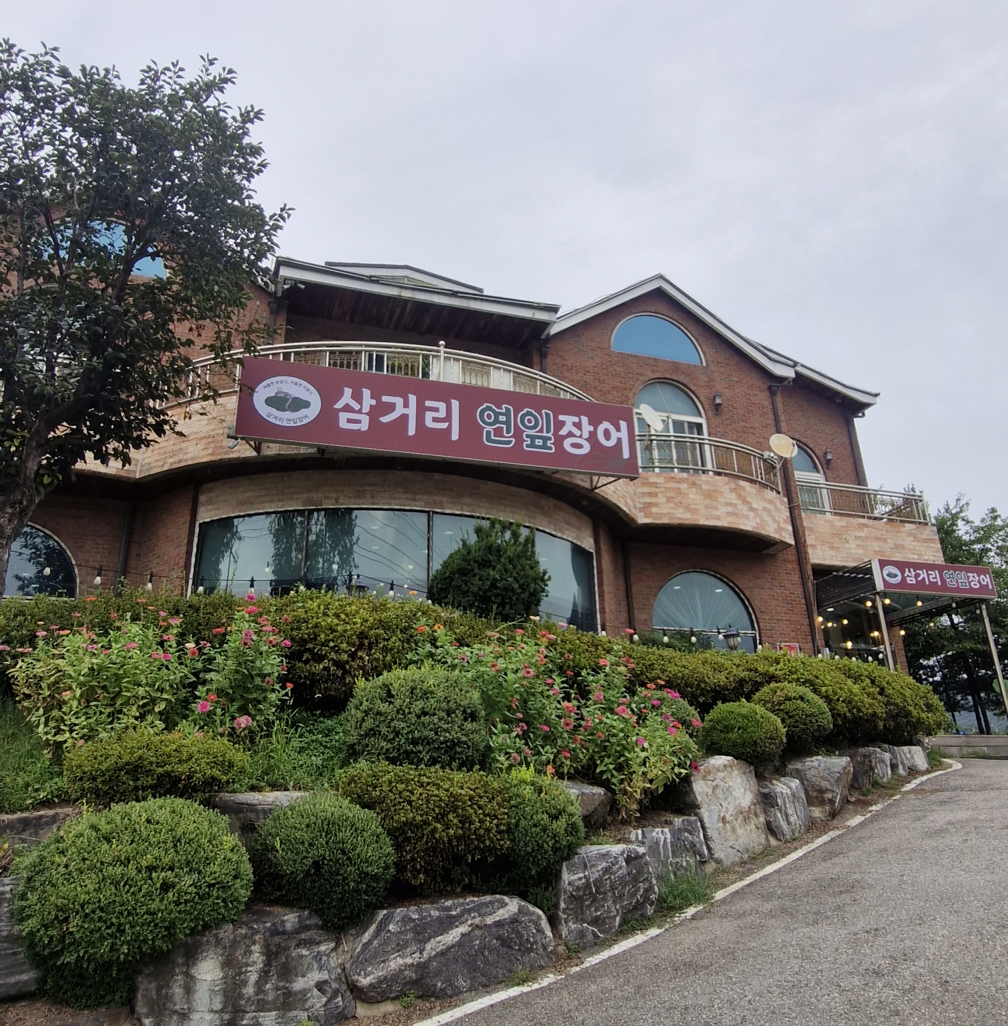 삼거리연잎장어