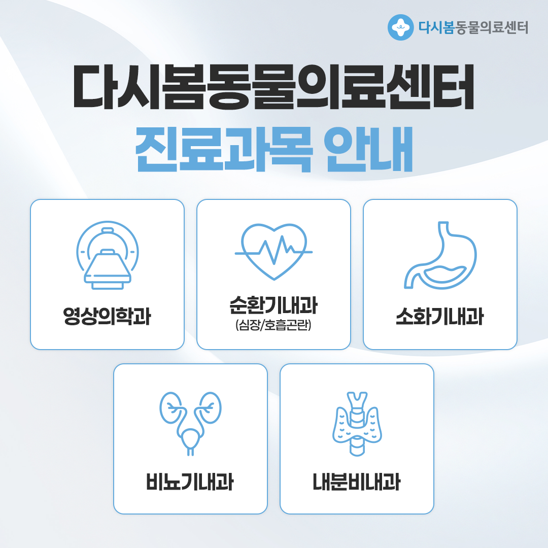 다시봄동물의료센터 대표 이미지
