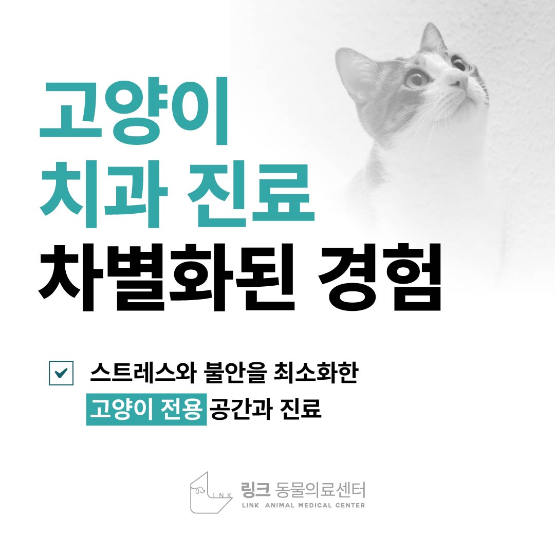 링크 동물의료센터 대표 이미지