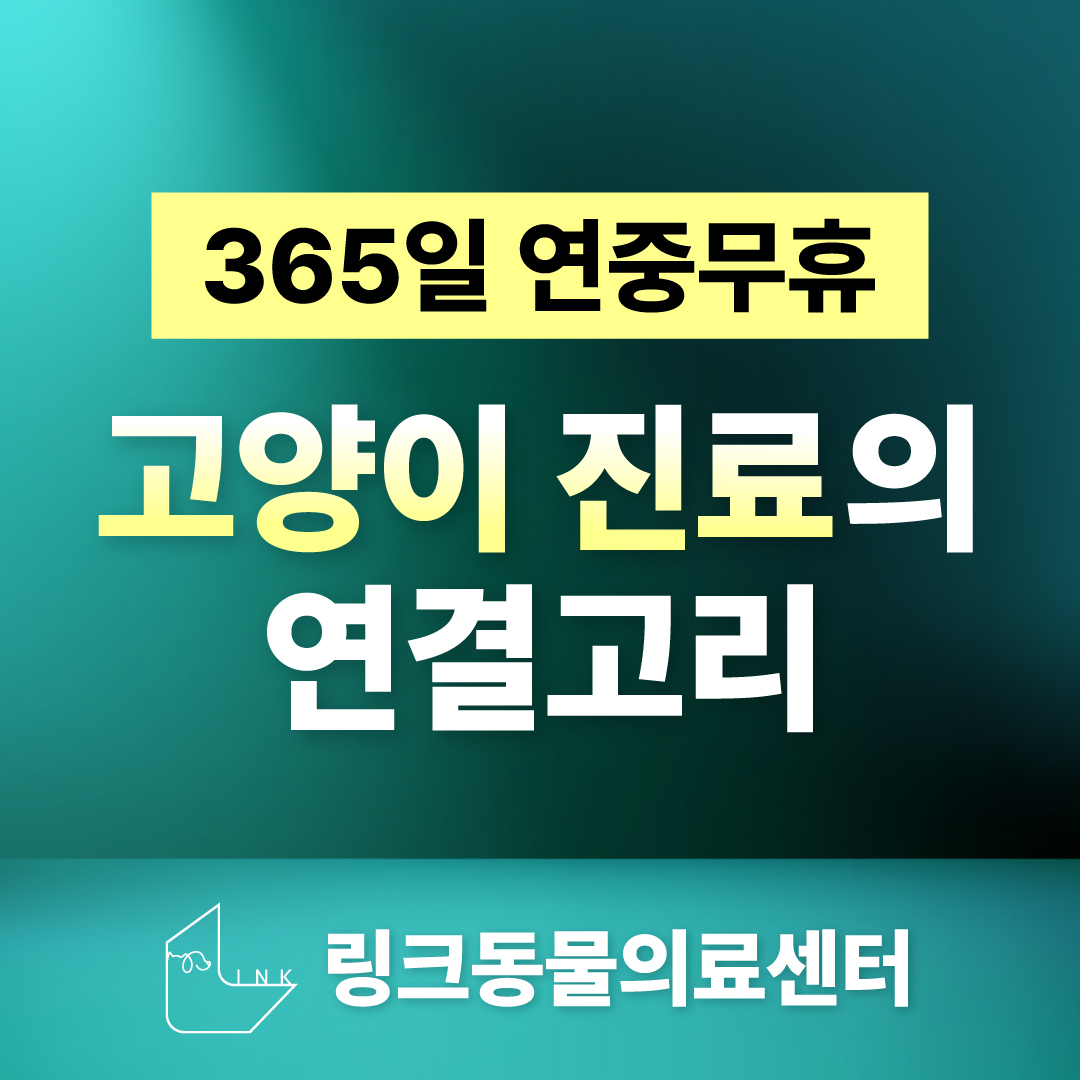 링크 동물의료센터 대표 이미지
