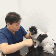 스타동물병원 대표 이미지