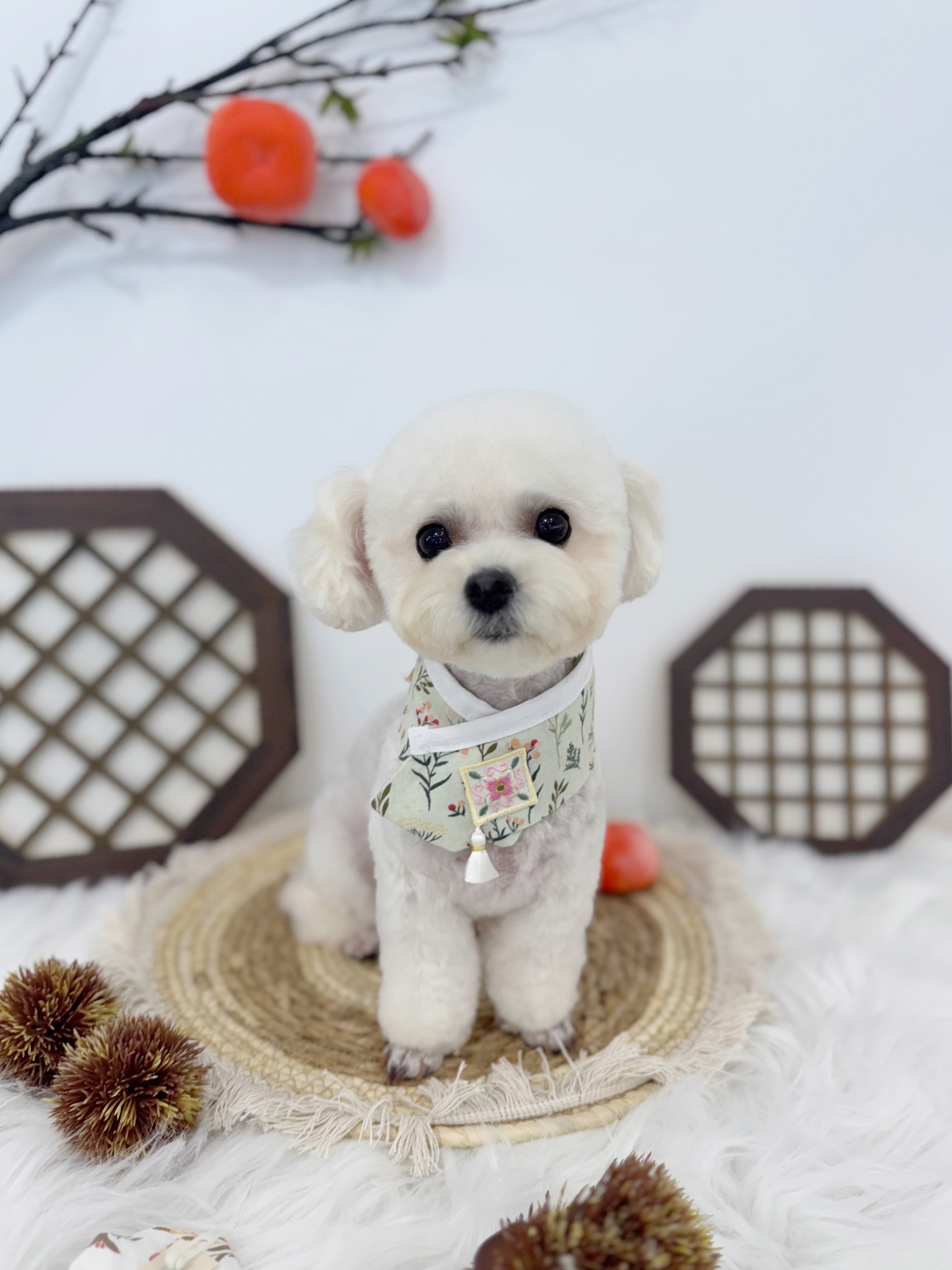 네이처펫 대표 이미지