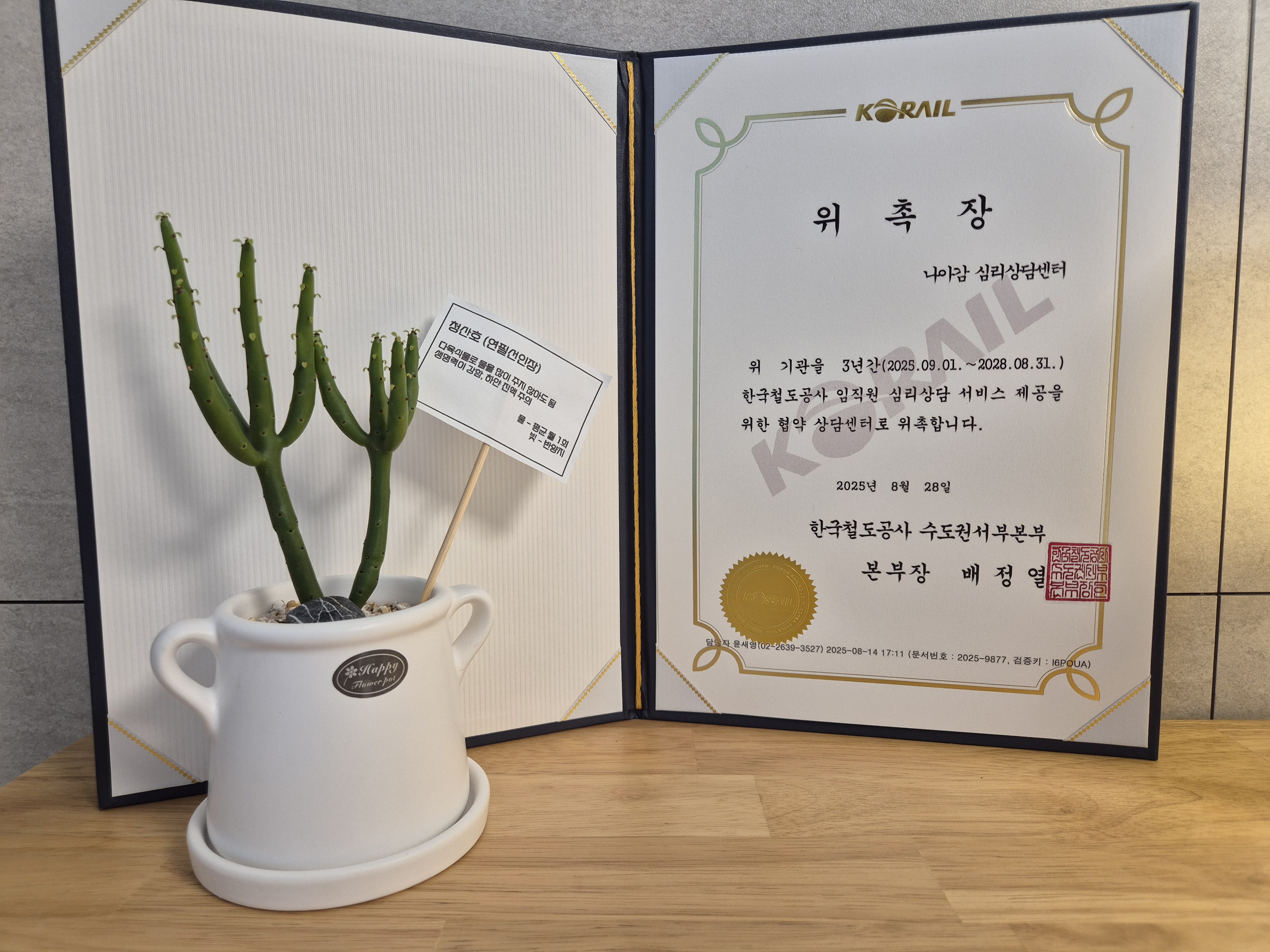 나아감 심리상담센터 대표 이미지