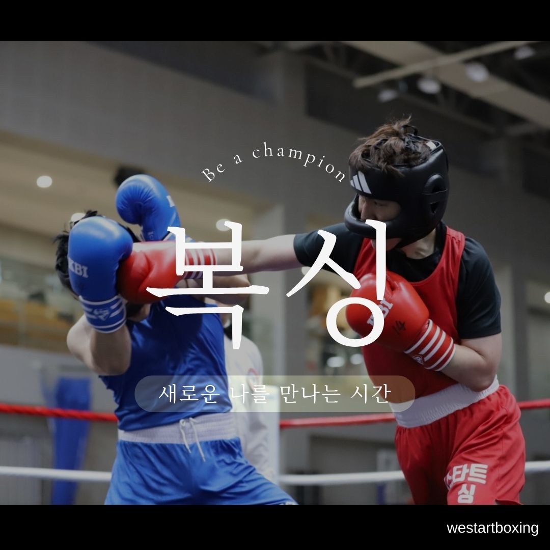 경기도 성남시 중원구 복싱체육관 WE START BOXING GYM 내부 모습 4