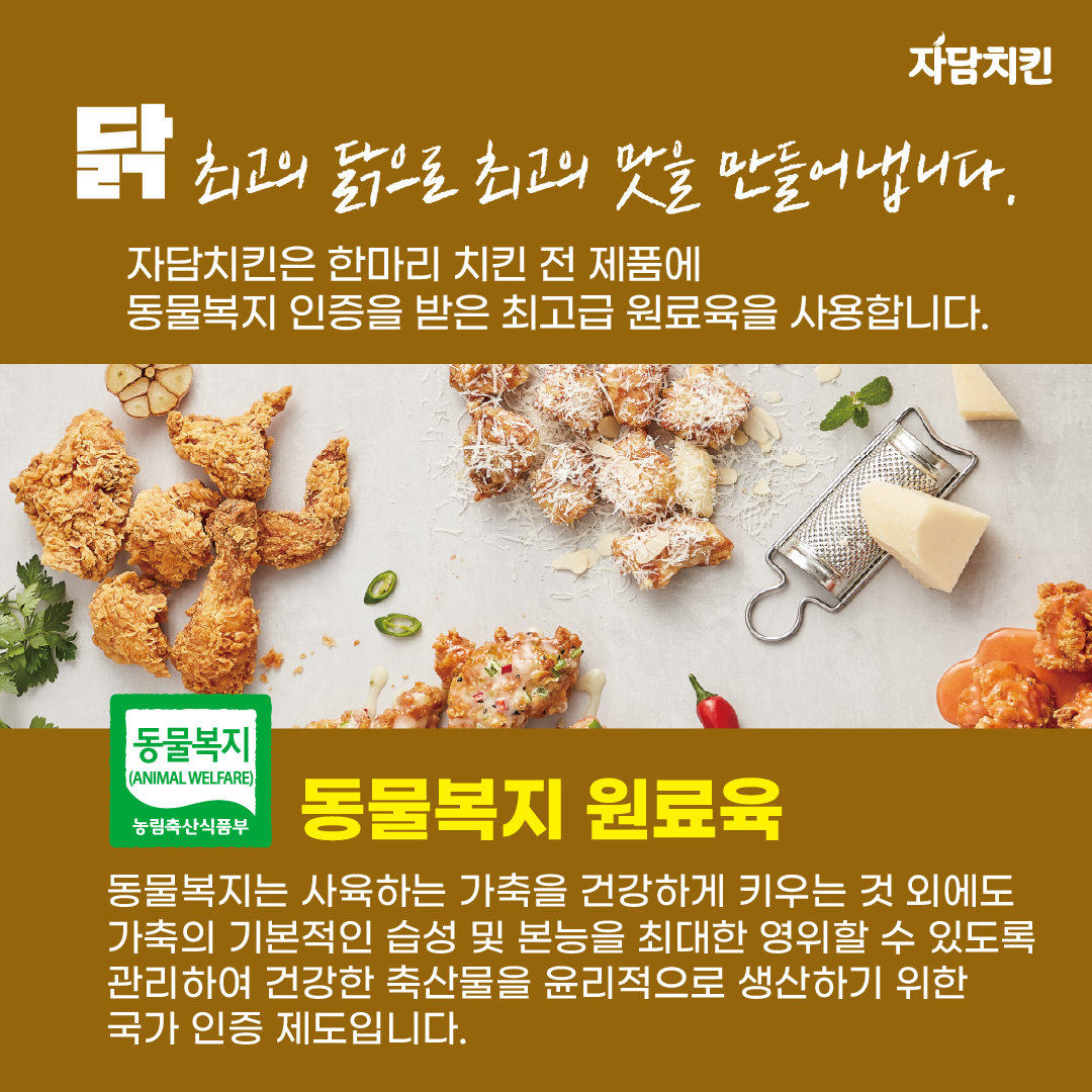 자담치킨 속초교동점 4