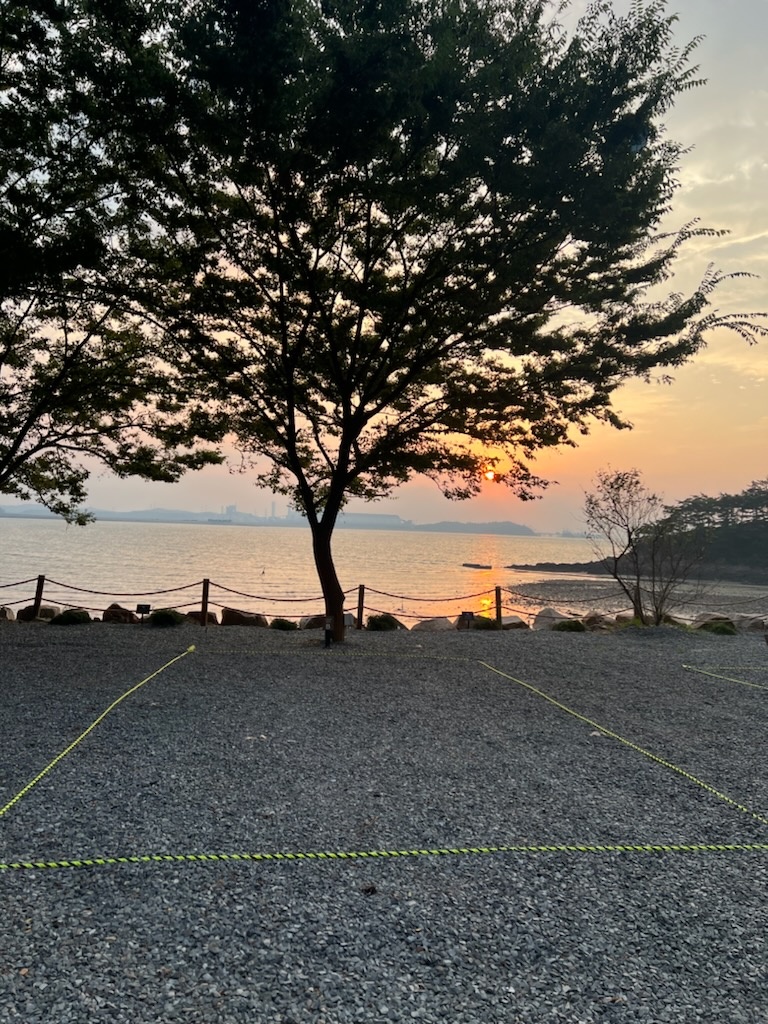 사진 3