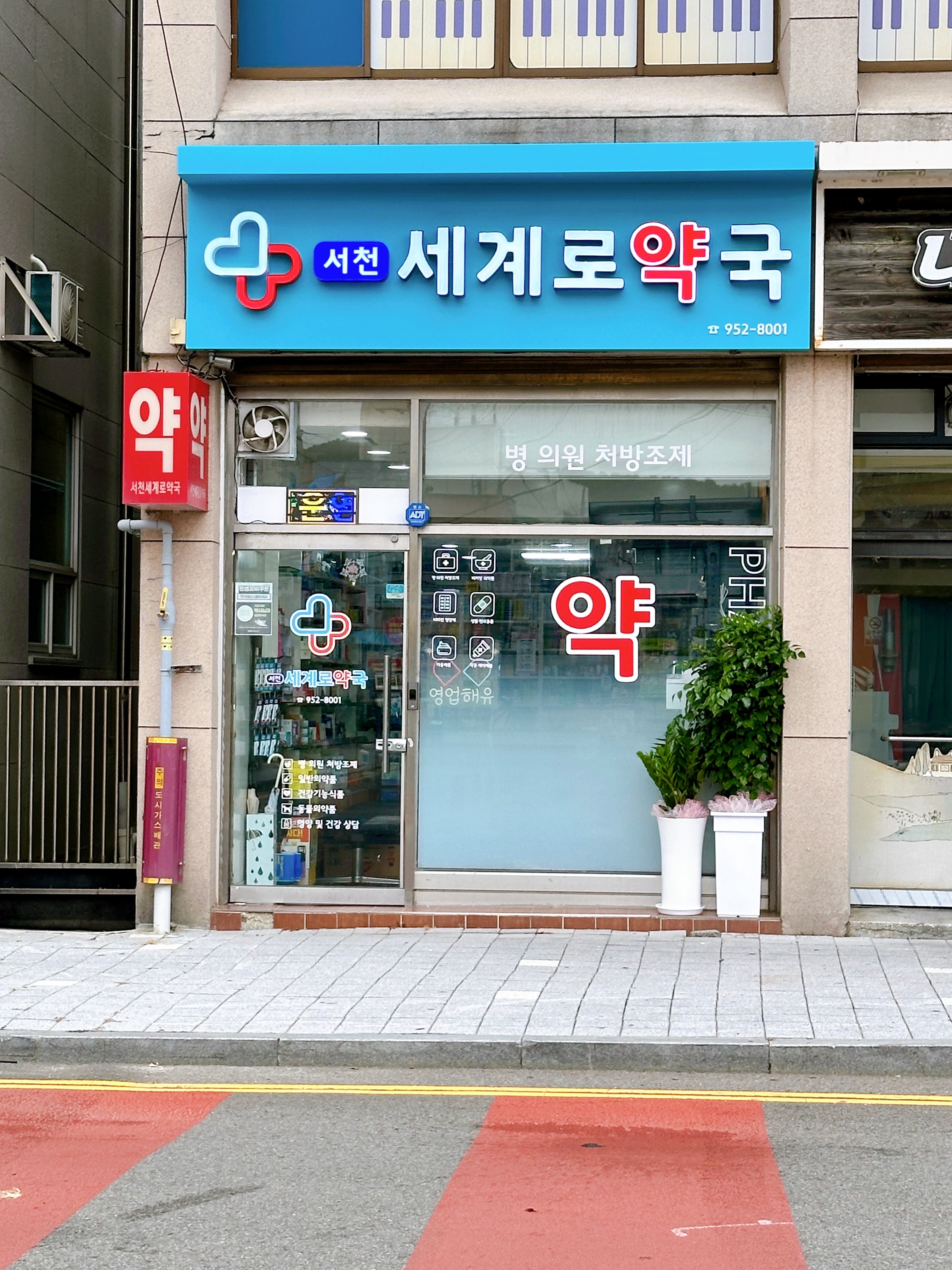 서천세계로약국