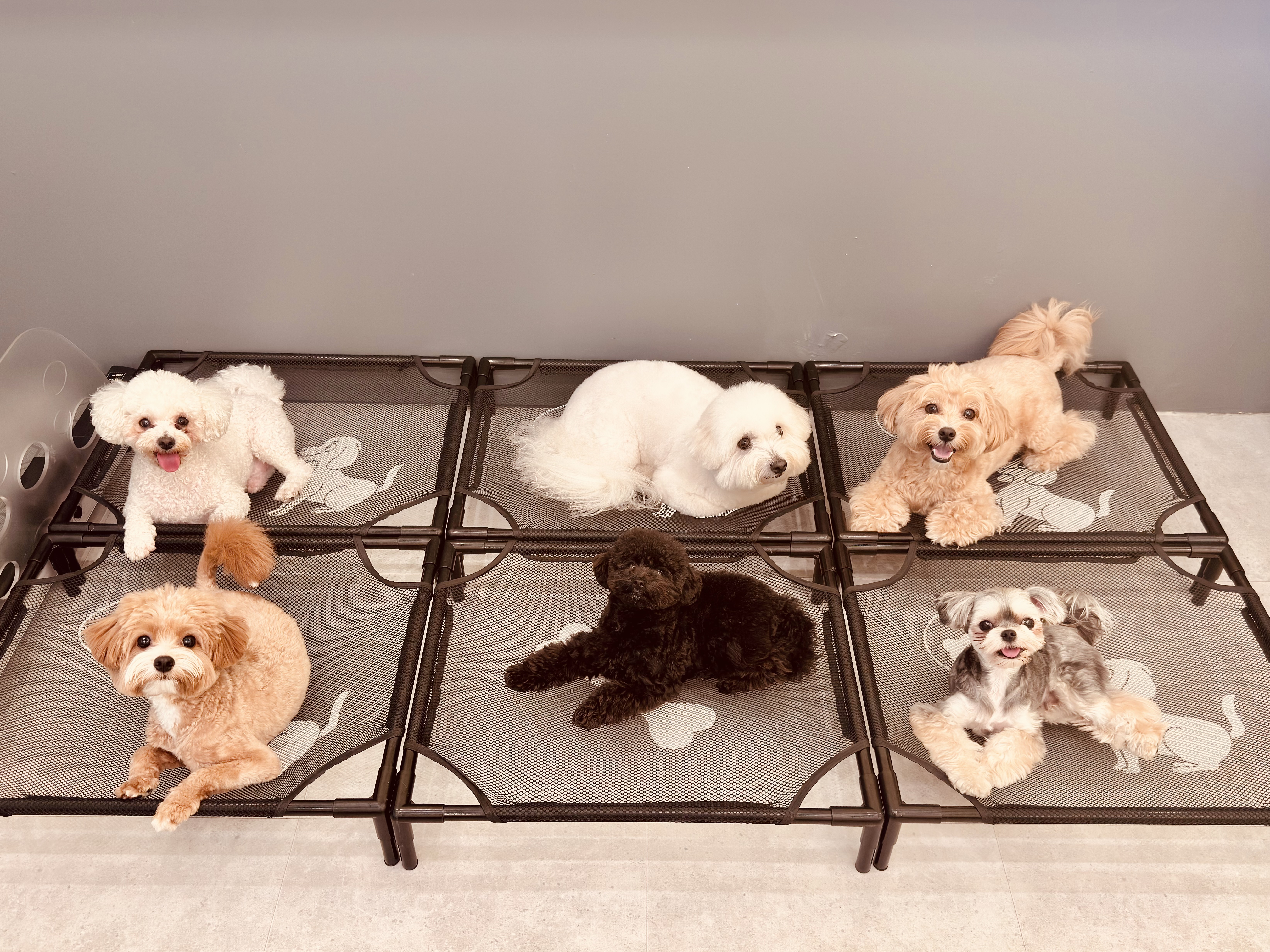 안녕네모 대표 이미지