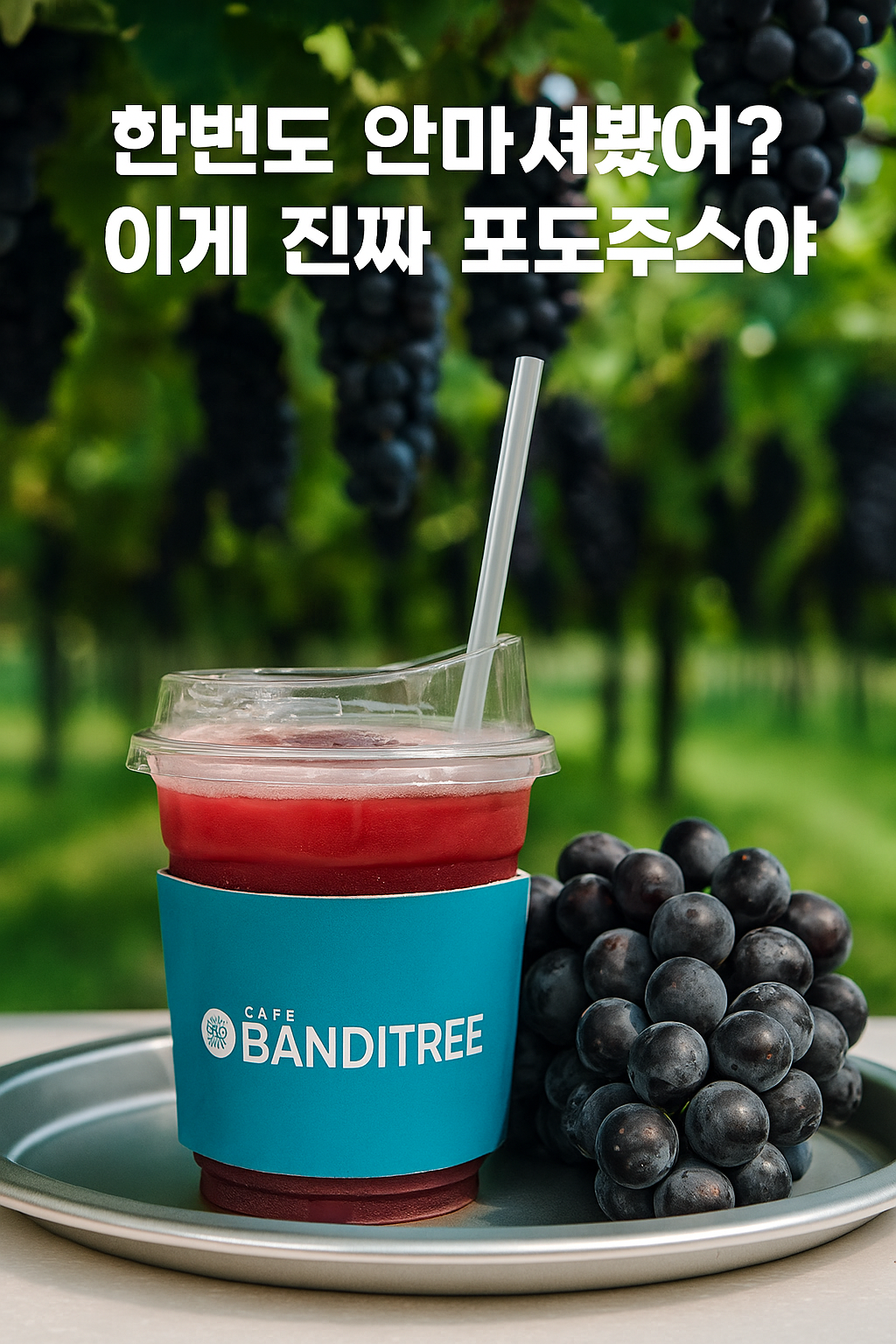 카페반디나무 부산대점 3